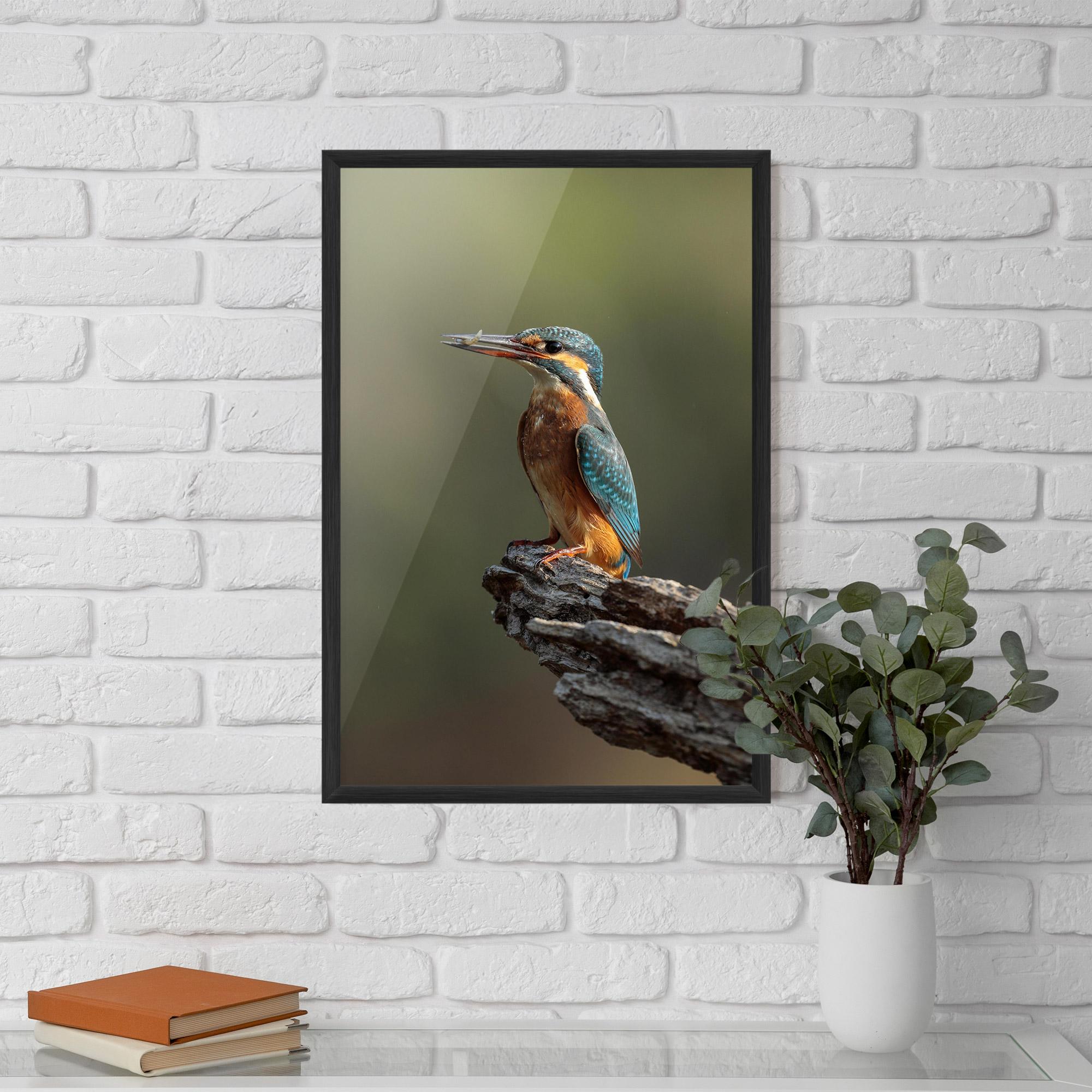 Gerahmte Poster Female Kingfisher mockup 5