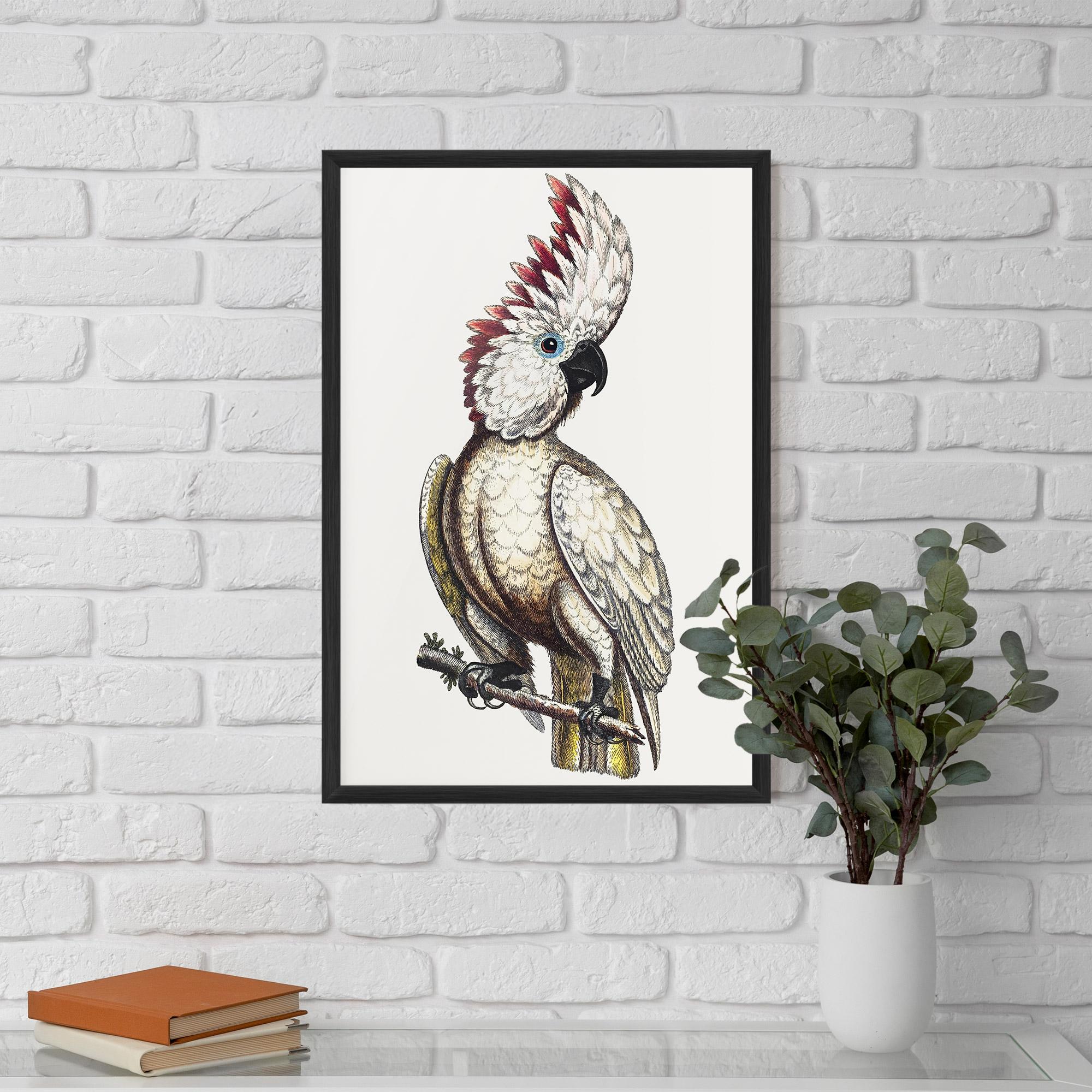 Gerahmte Poster Interesting Bird mockup 5