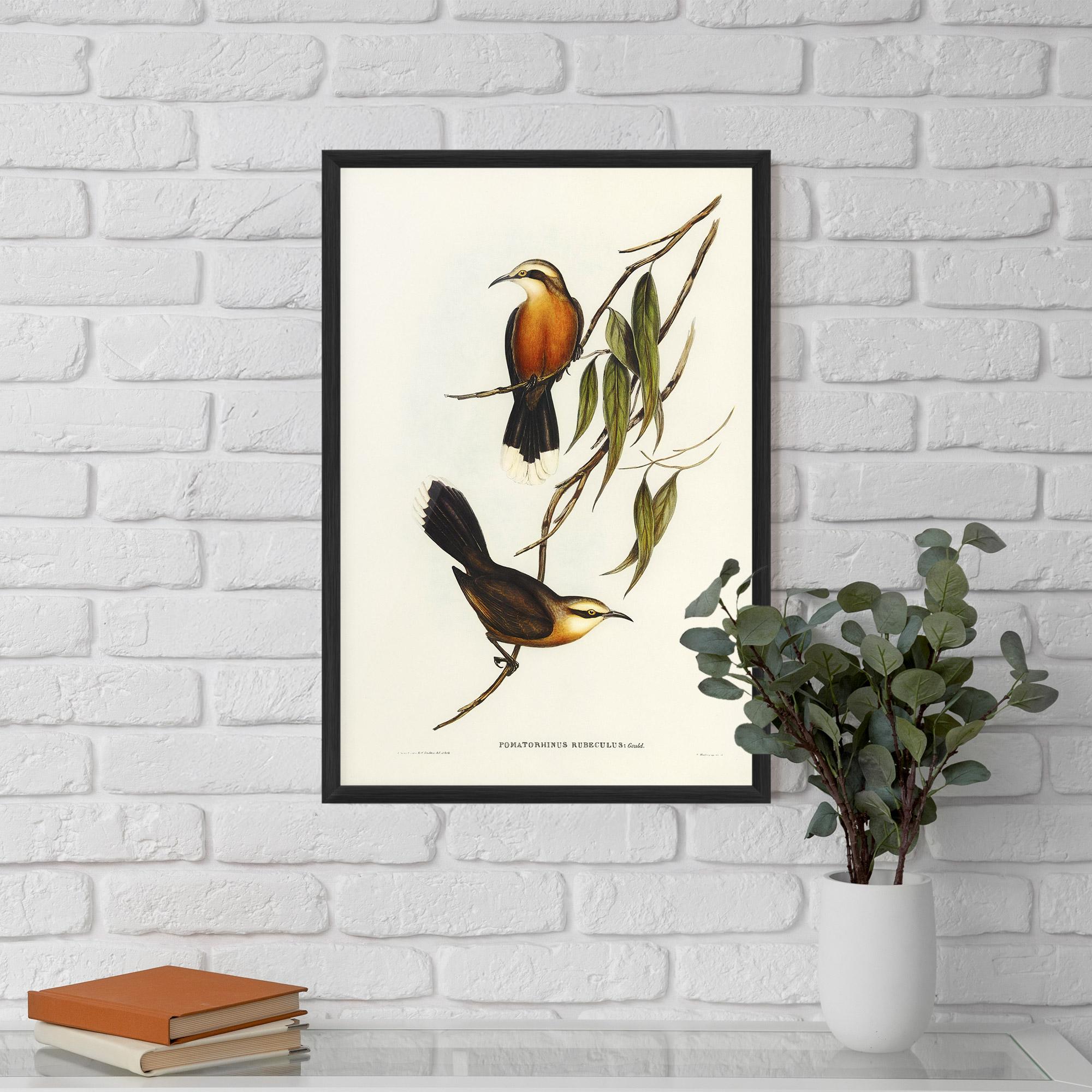 Gerahmte Poster Red Pomatorhinus mockup 5