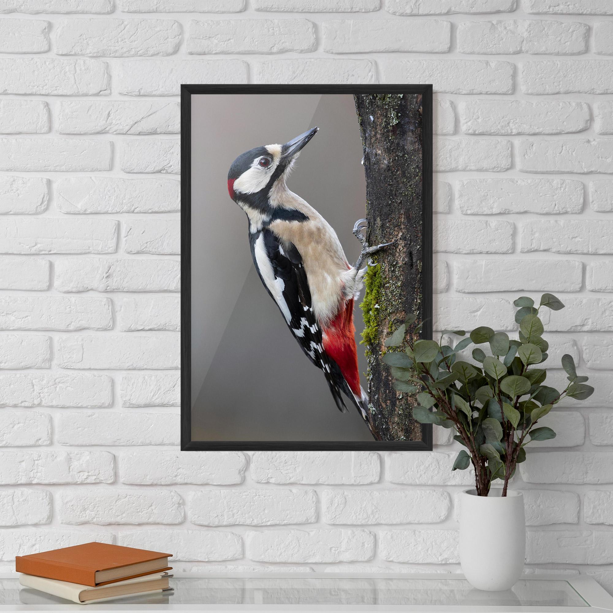 Gerahmte Poster Woodpecker mockup 5