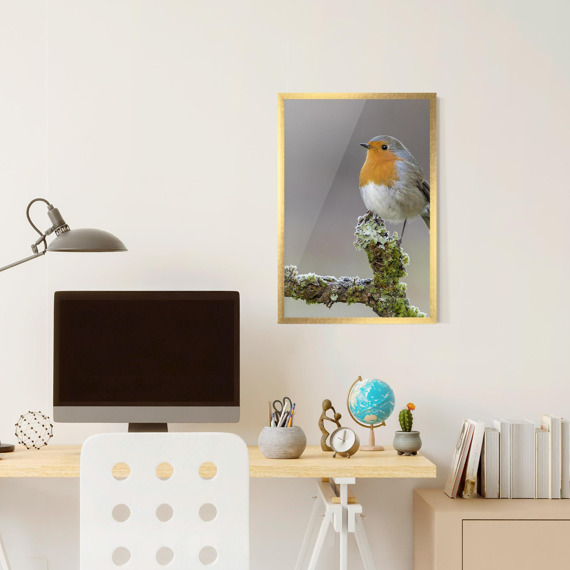 Gerahmte Poster Erithacus Bird mockup 6