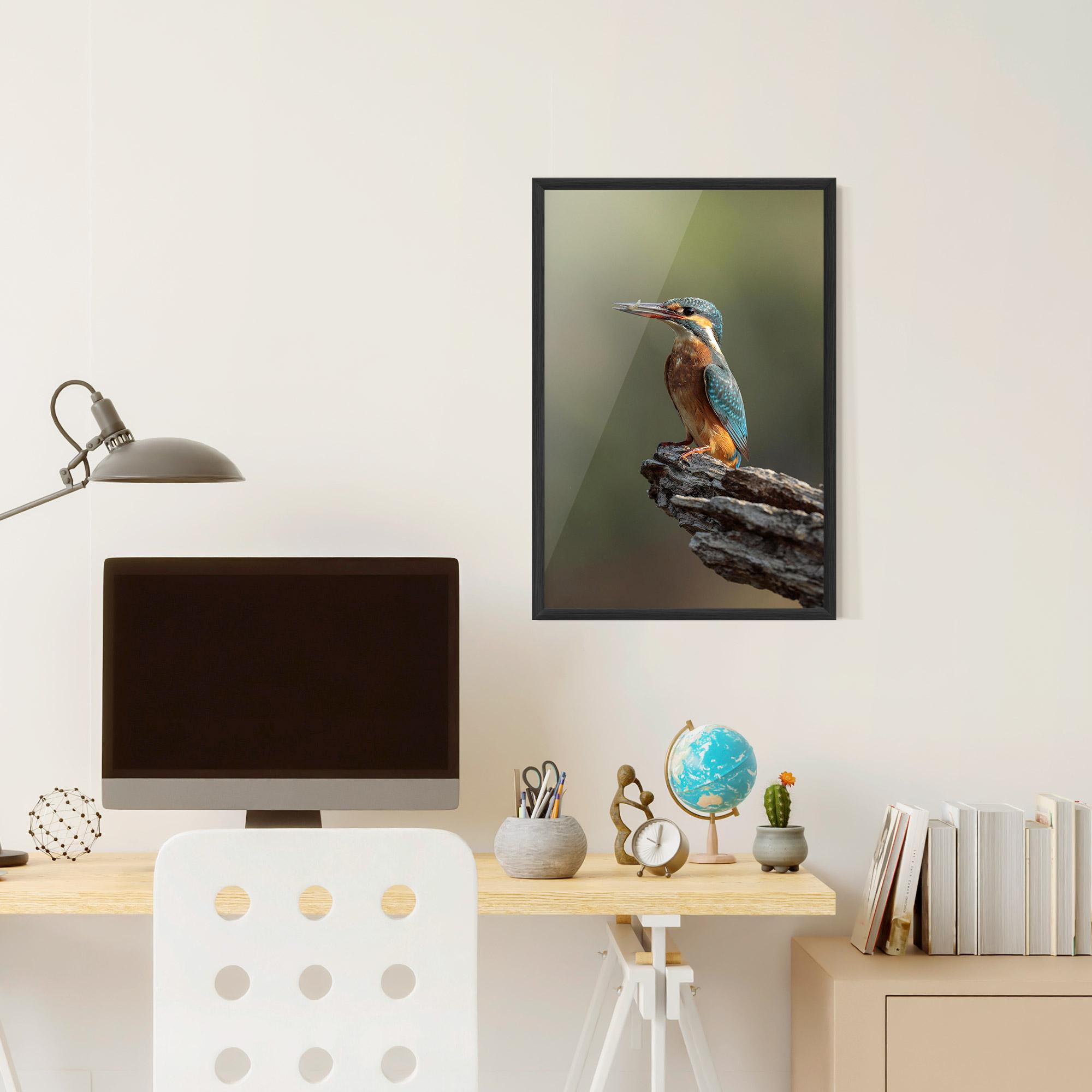 Gerahmte Poster Female Kingfisher mockup 6