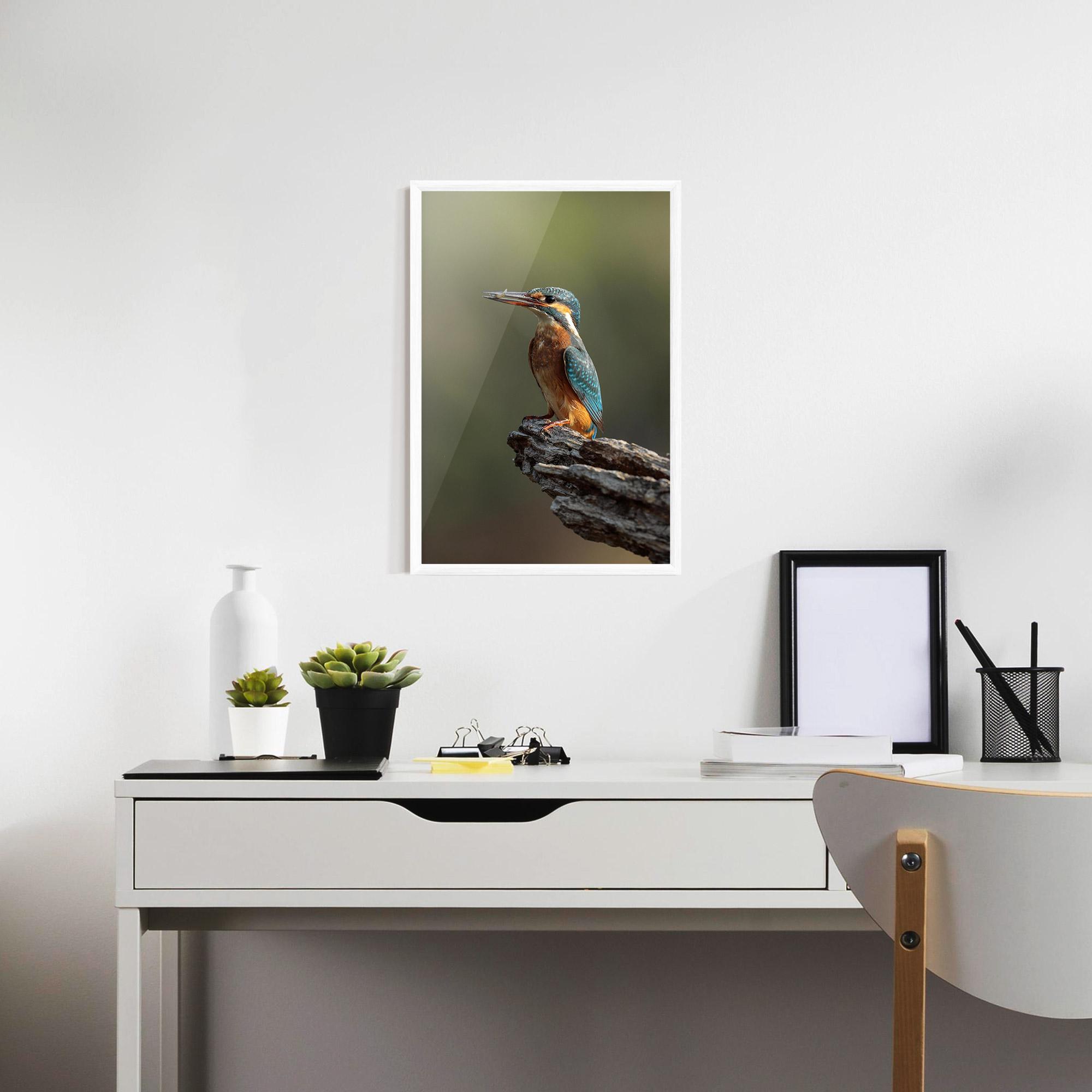 Gerahmte Poster Female Kingfisher mockup 7