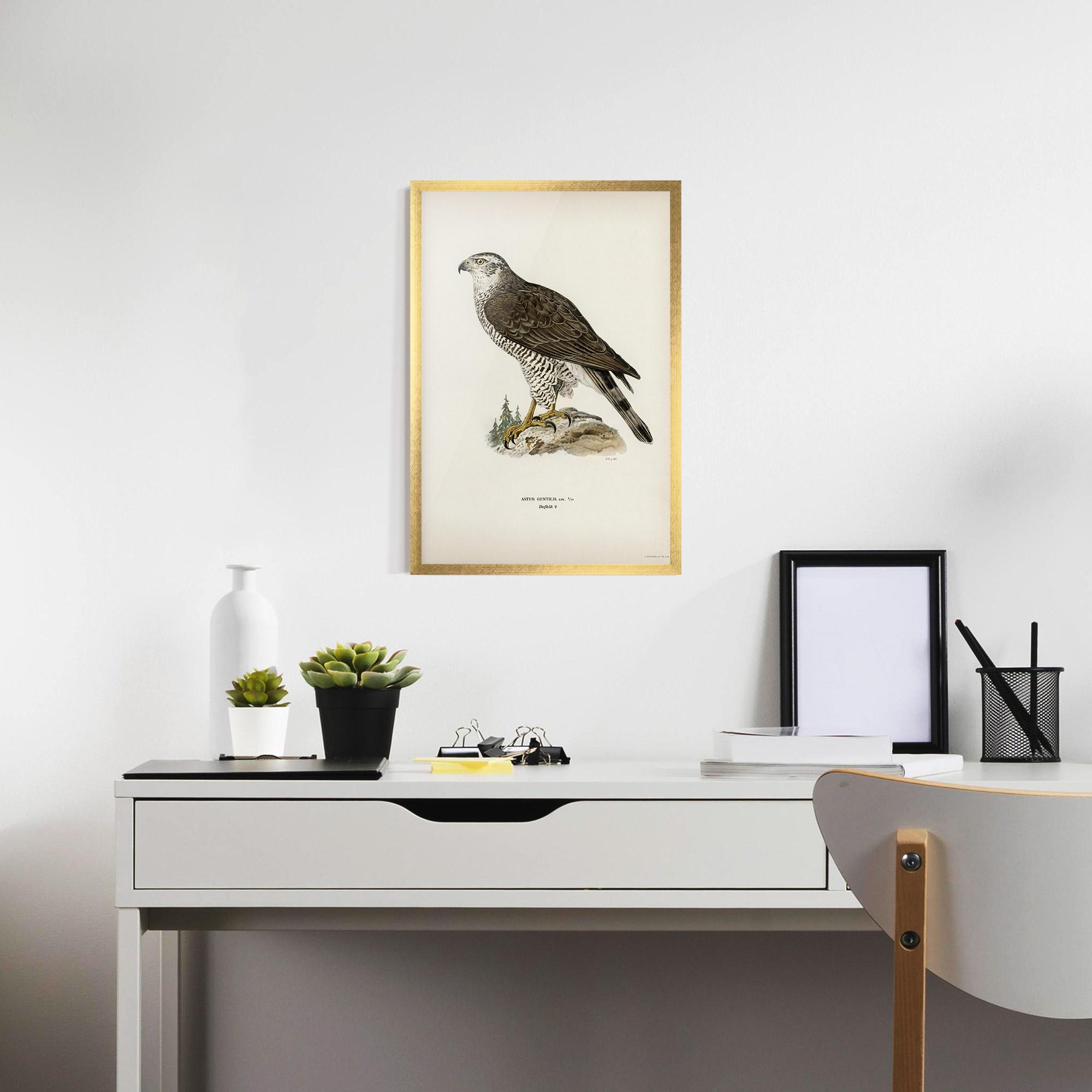 Gerahmte Poster Astur Gentilis mockup 7