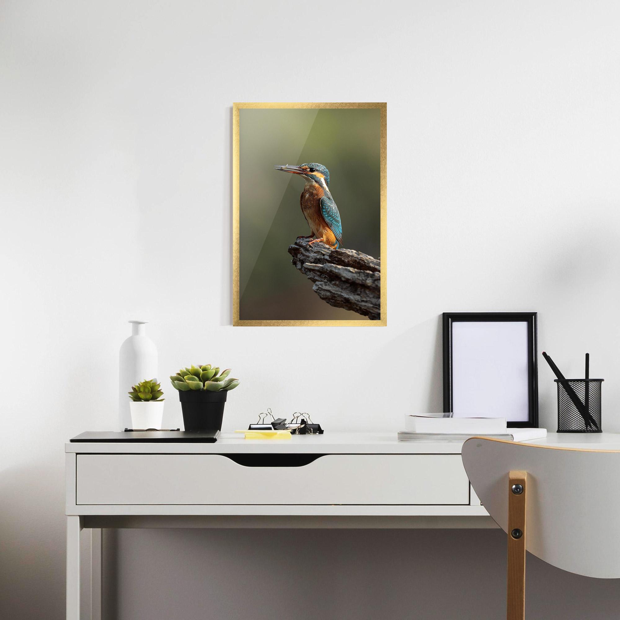 Gerahmte Poster Female Kingfisher mockup 7