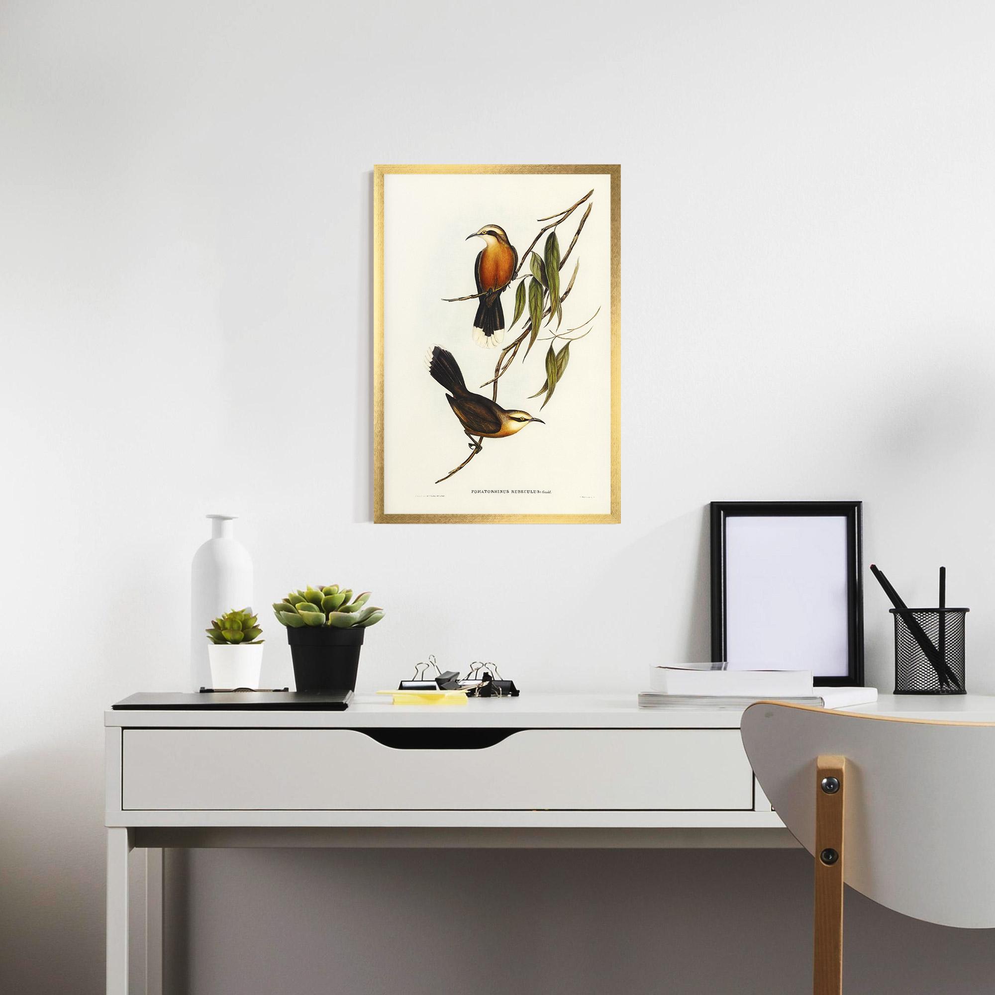 Gerahmte Poster Red Pomatorhinus mockup 7