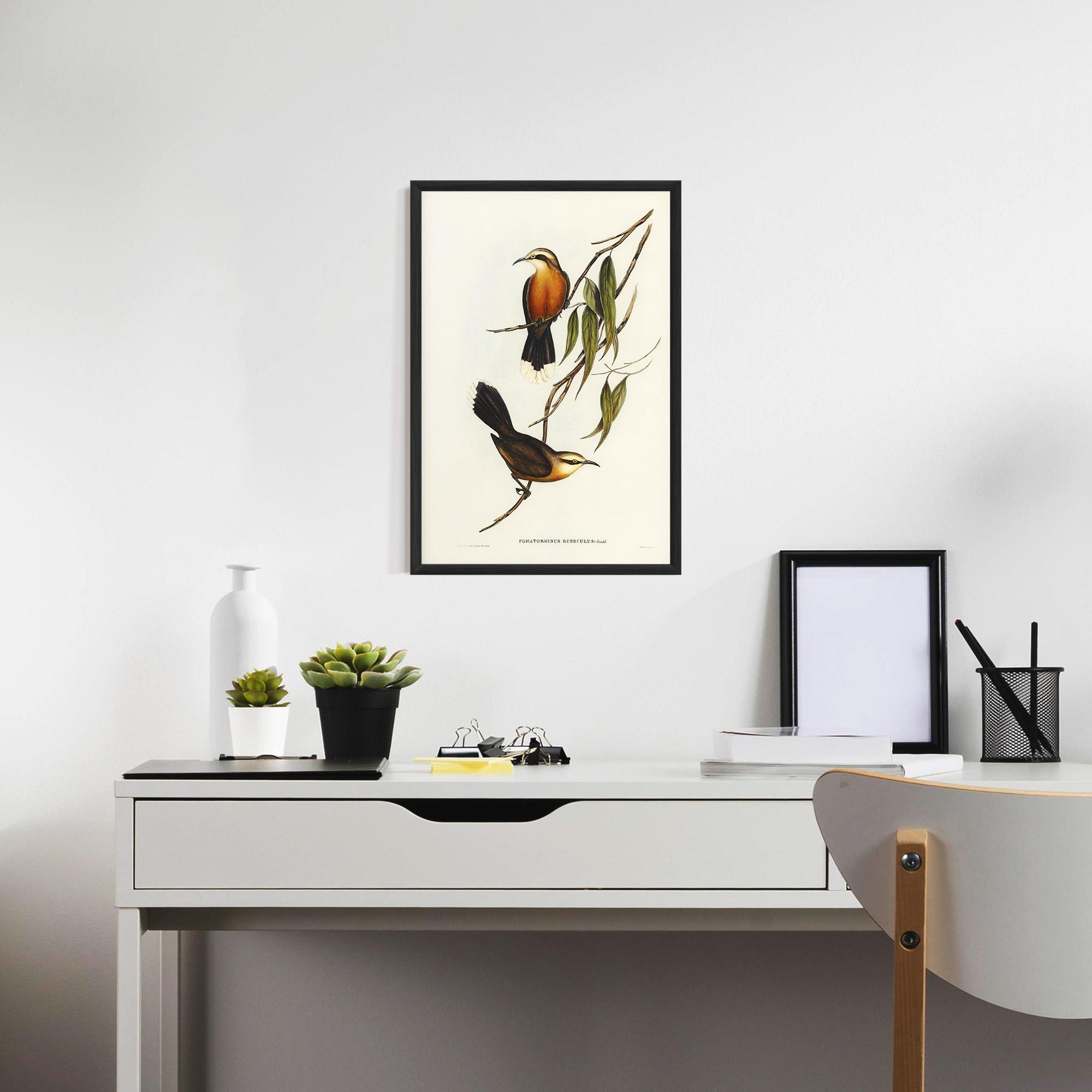 Gerahmte Poster Red Pomatorhinus mockup 7