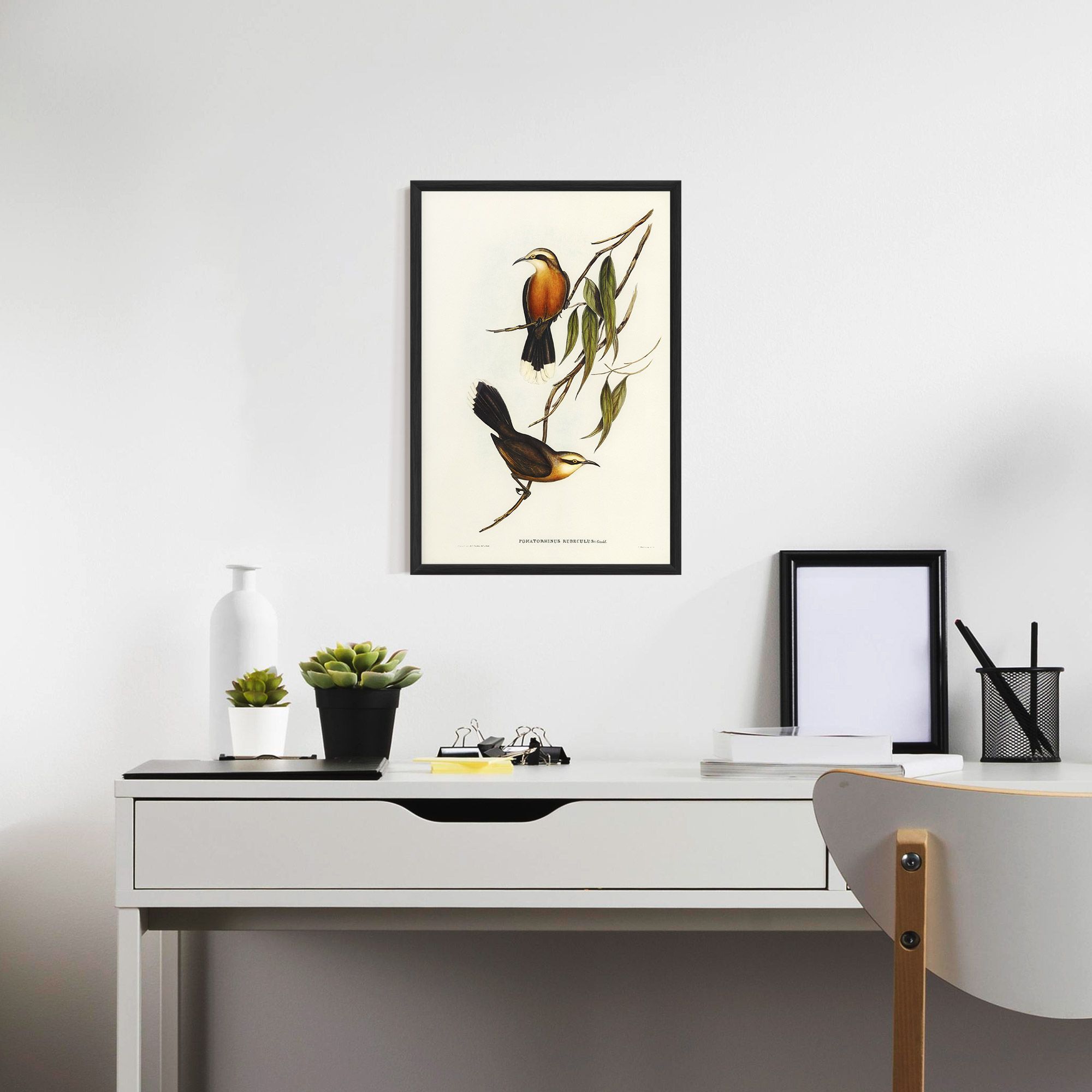 Red Pomatorhinus mockup 7