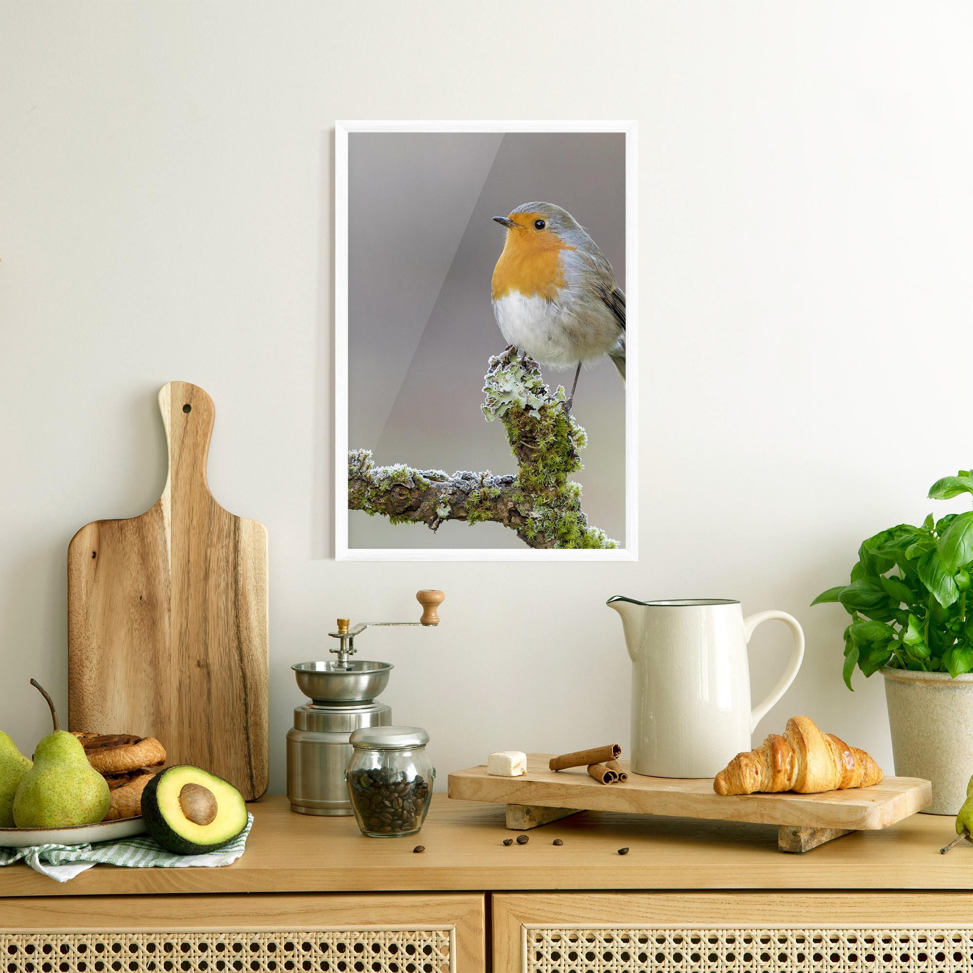 Gerahmte Poster Erithacus Bird mockup 8