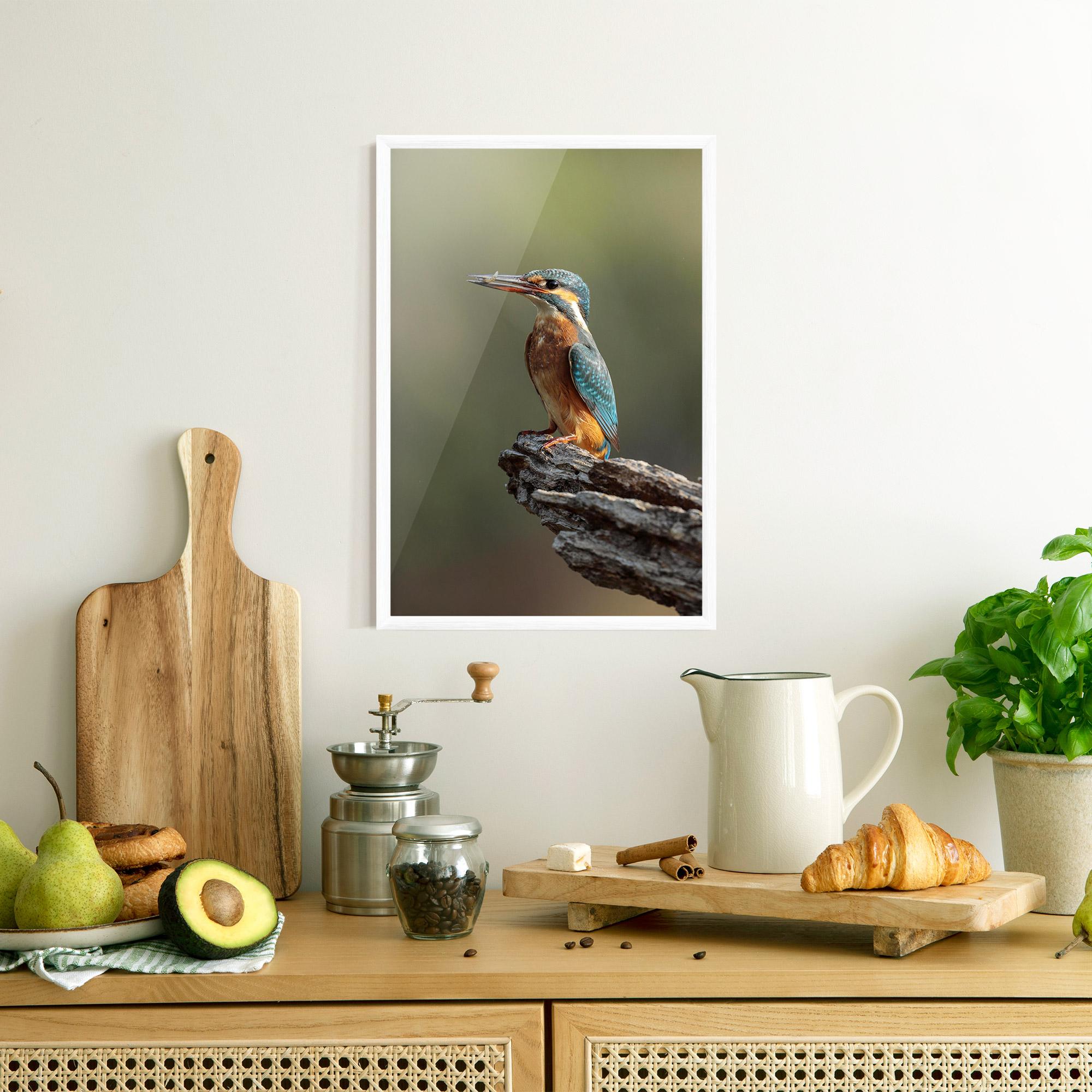 Gerahmte Poster Female Kingfisher mockup 8