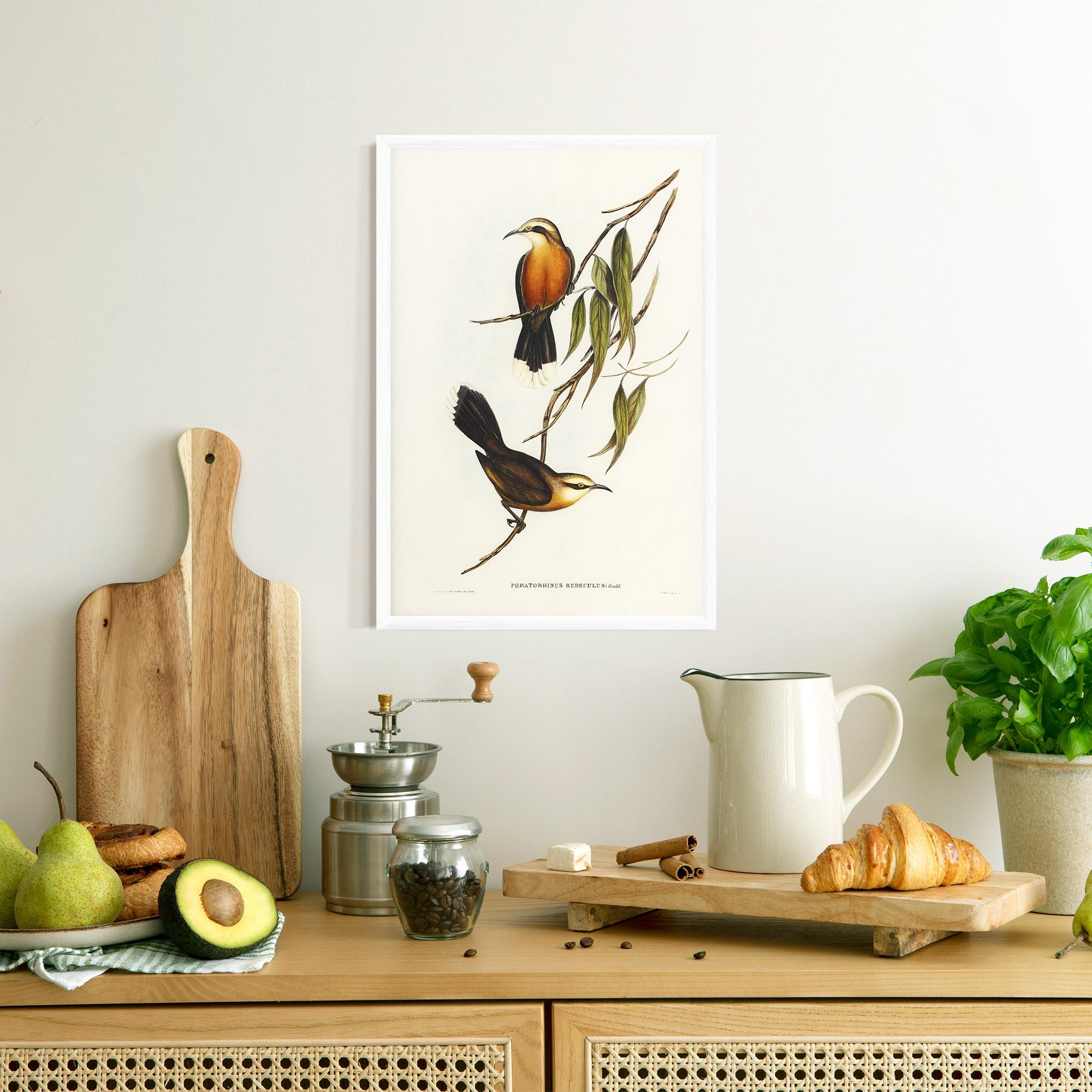 Gerahmte Poster Red Pomatorhinus mockup 8