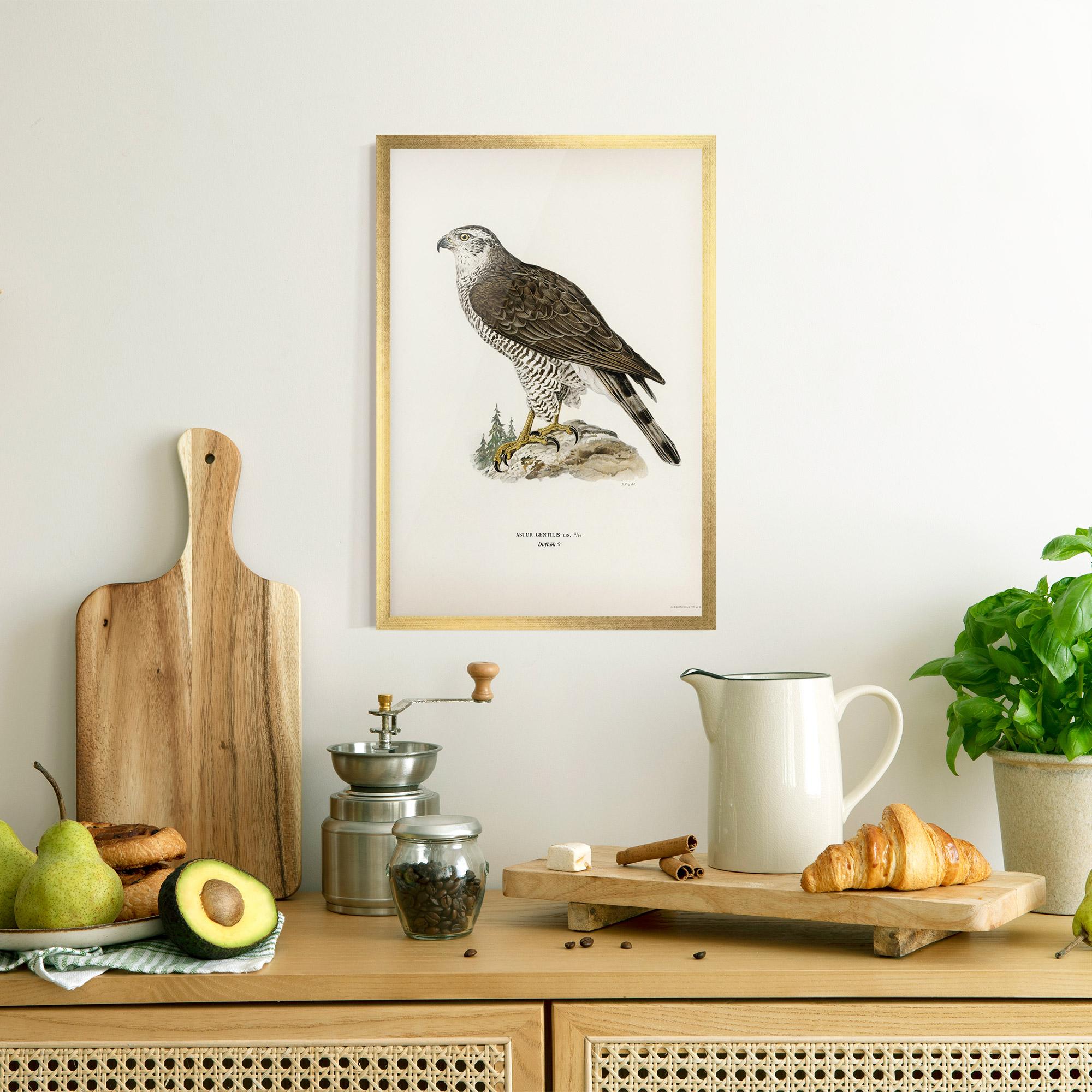 Gerahmte Poster Astur Gentilis mockup 8