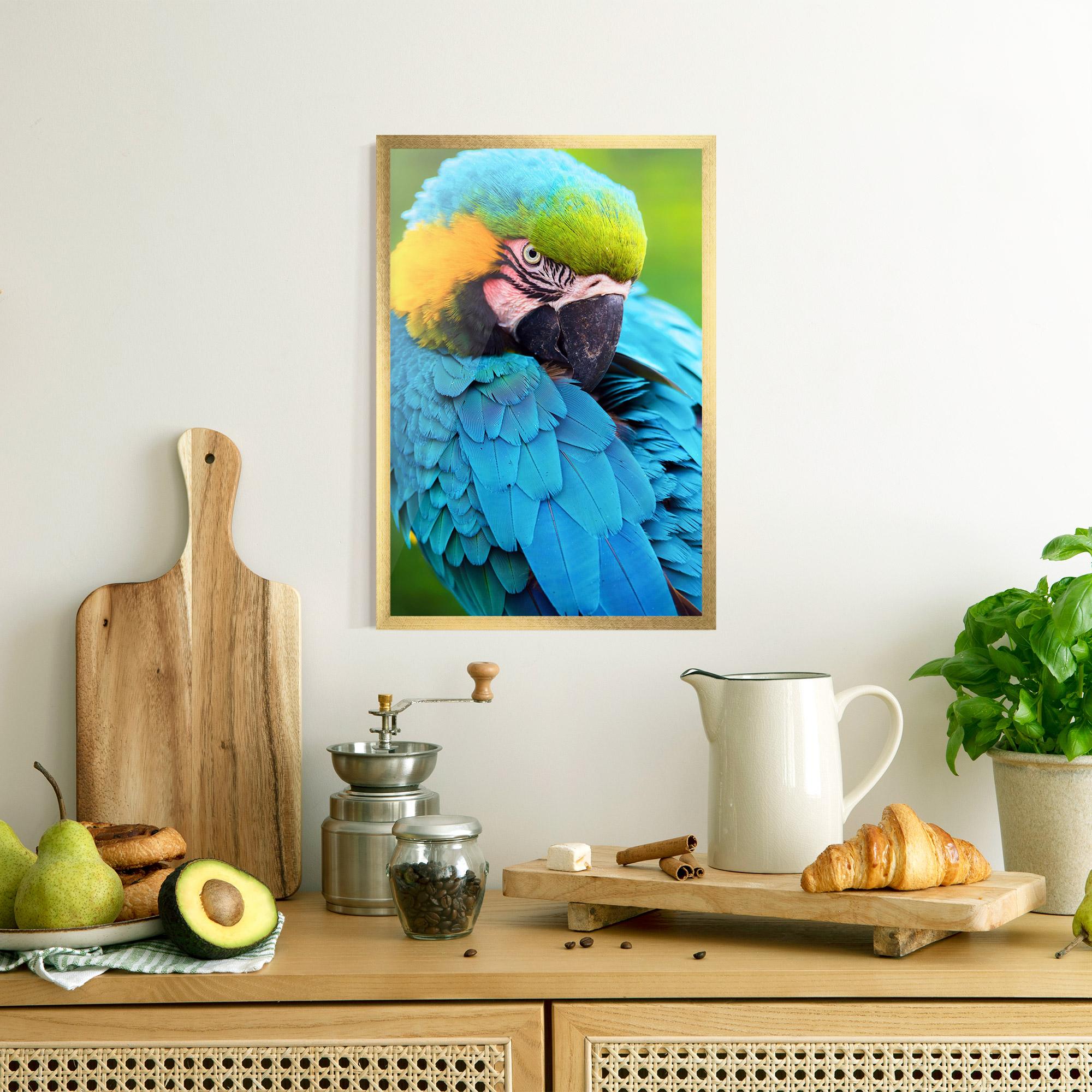 Gerahmte Poster Blue Parrot mockup 8