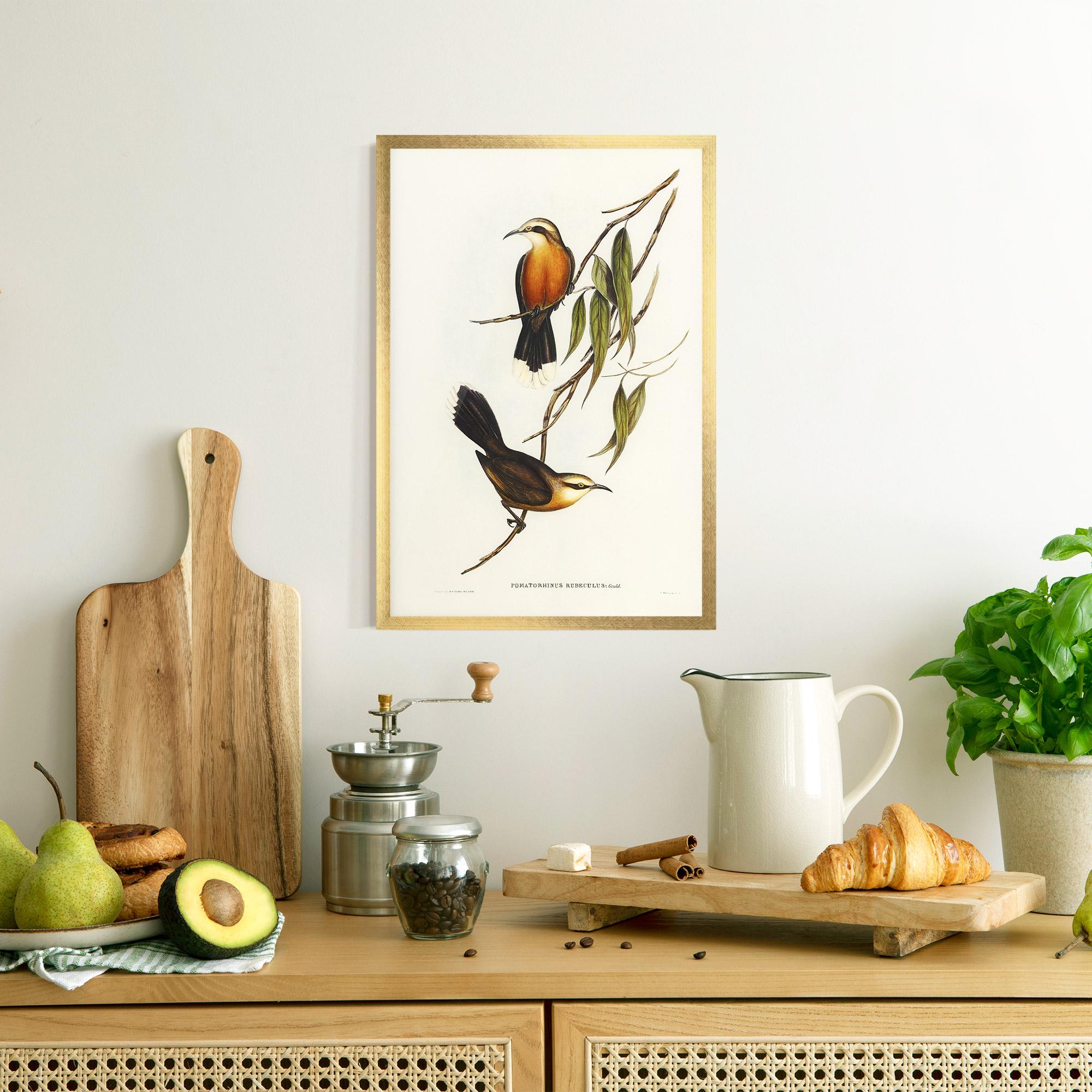 Gerahmte Poster Red Pomatorhinus mockup 8