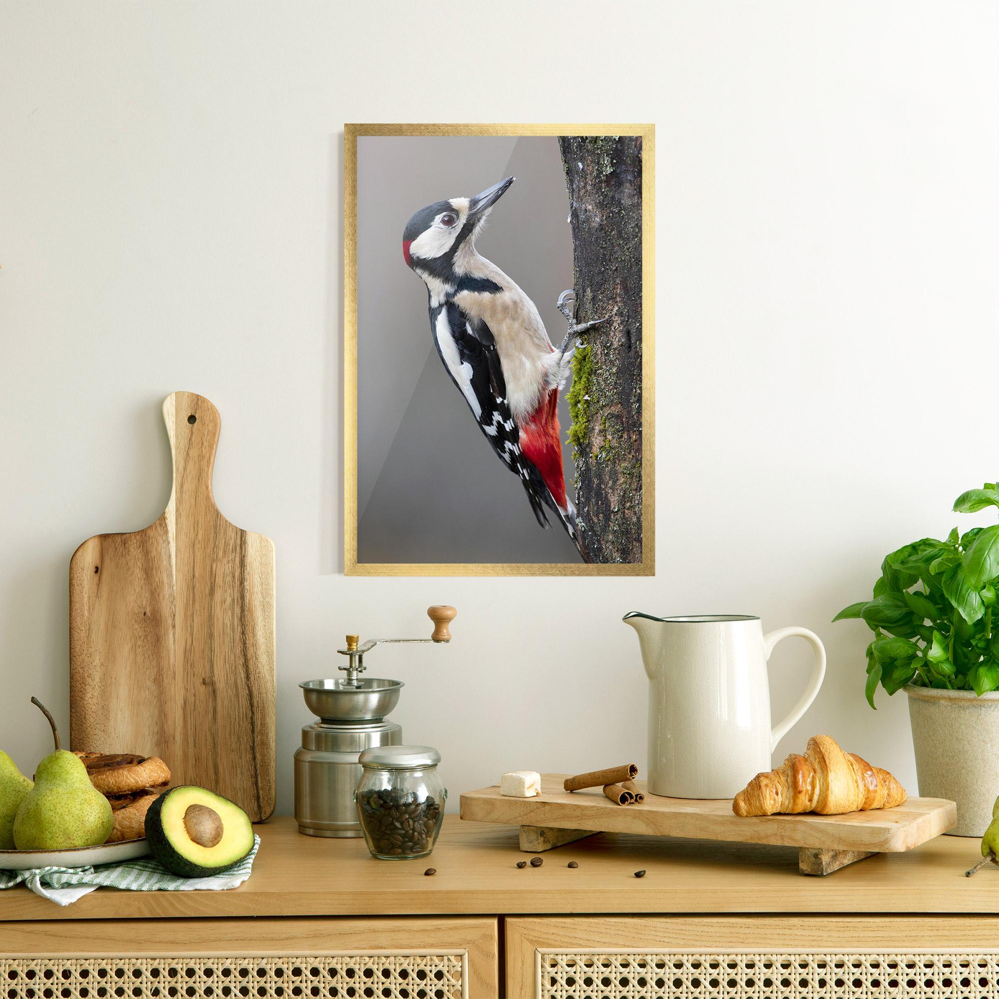 Gerahmte Poster Woodpecker mockup 8