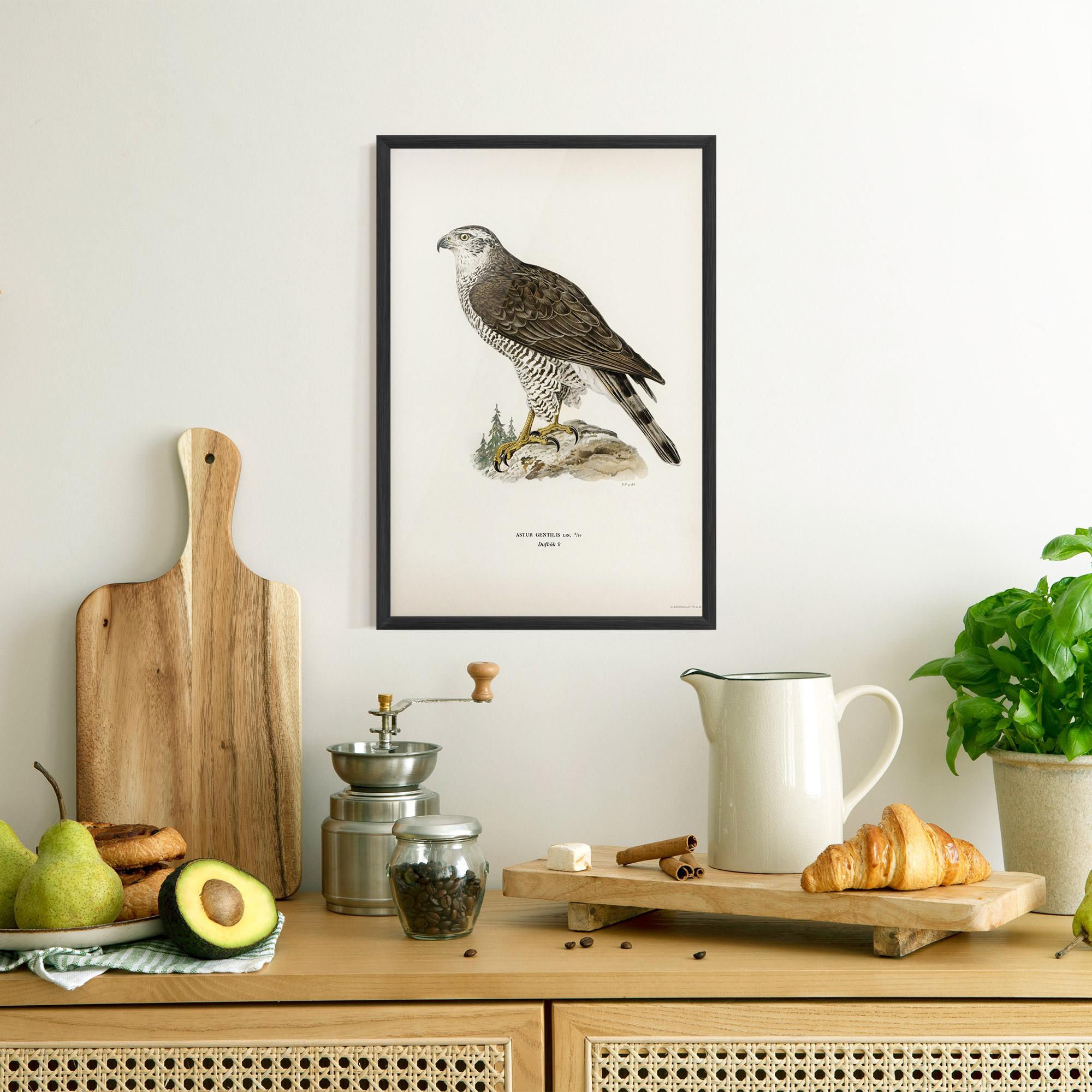 Gerahmte Poster Astur Gentilis mockup 8