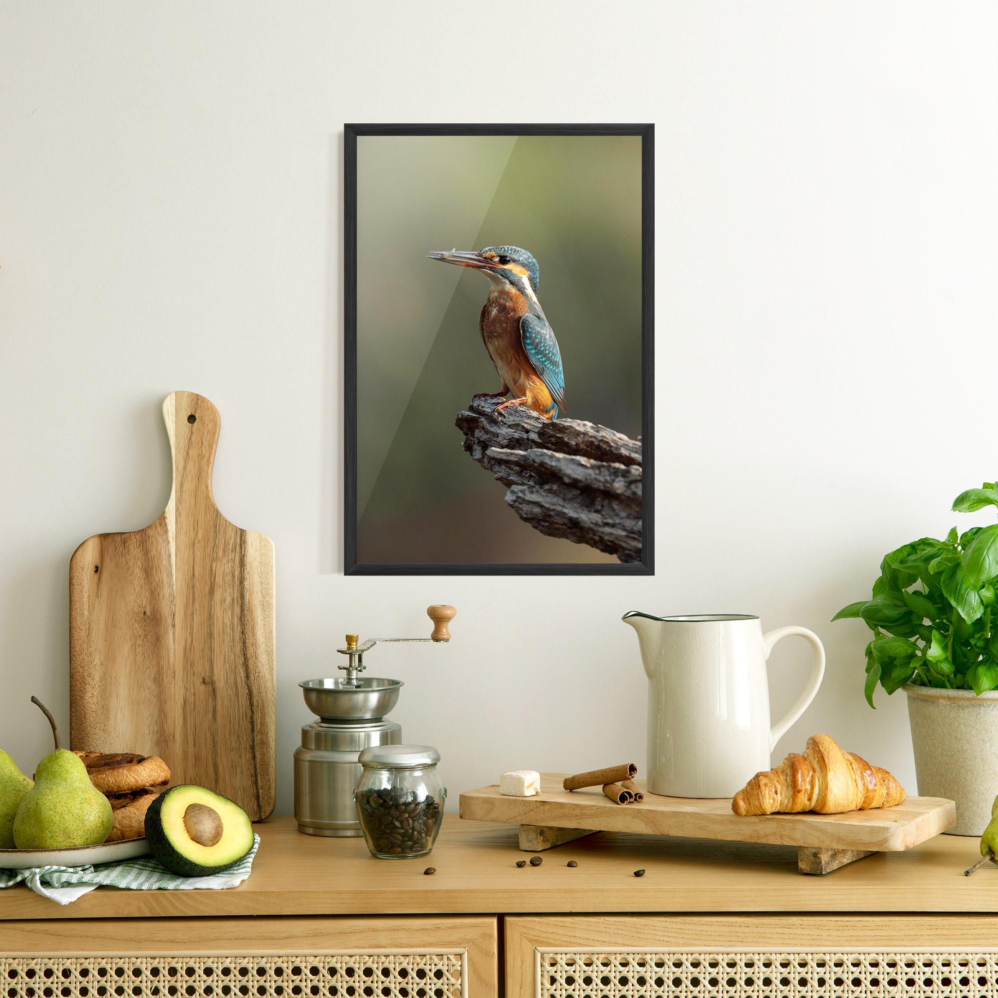 Gerahmte Poster Female Kingfisher mockup 8