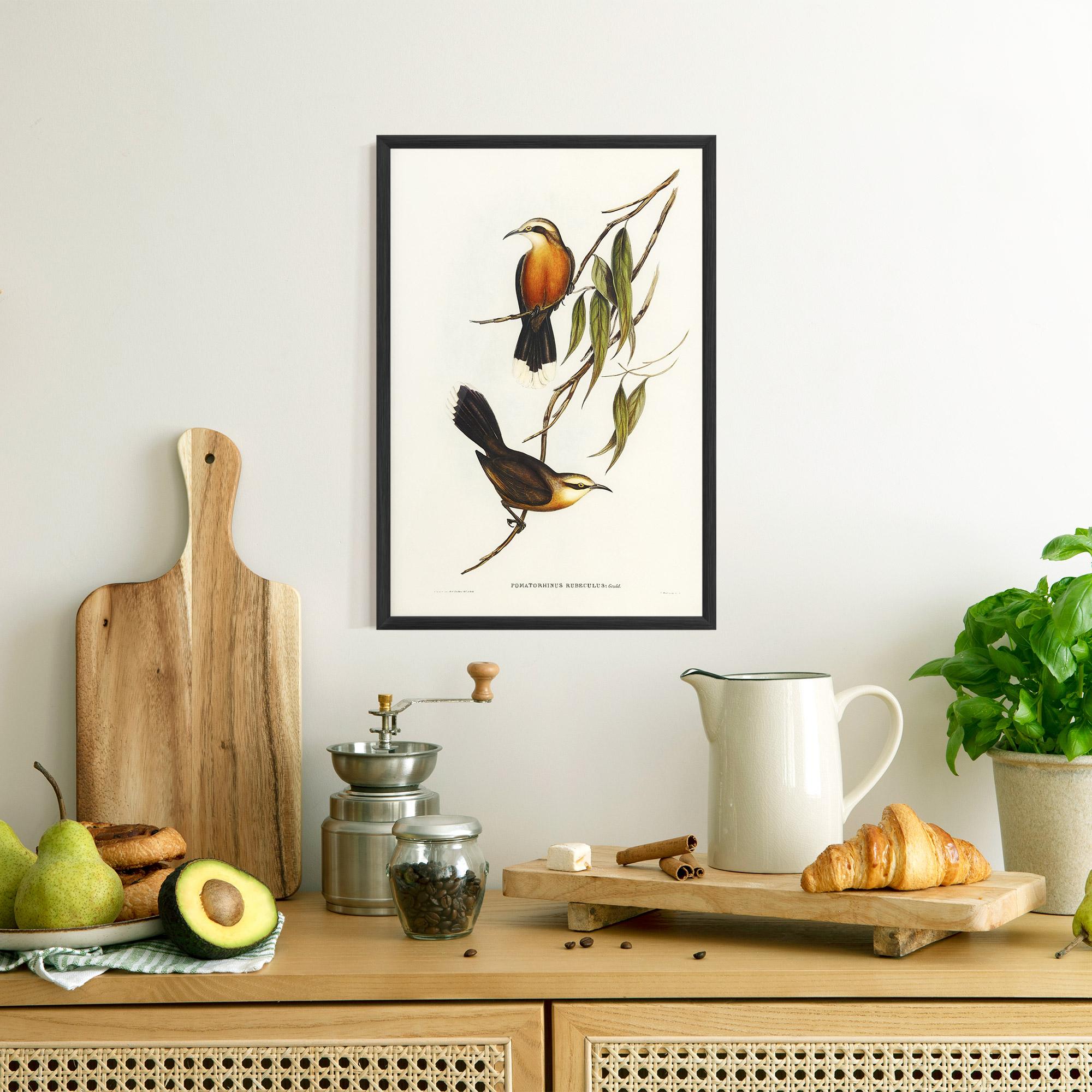 Gerahmte Poster Red Pomatorhinus mockup 8