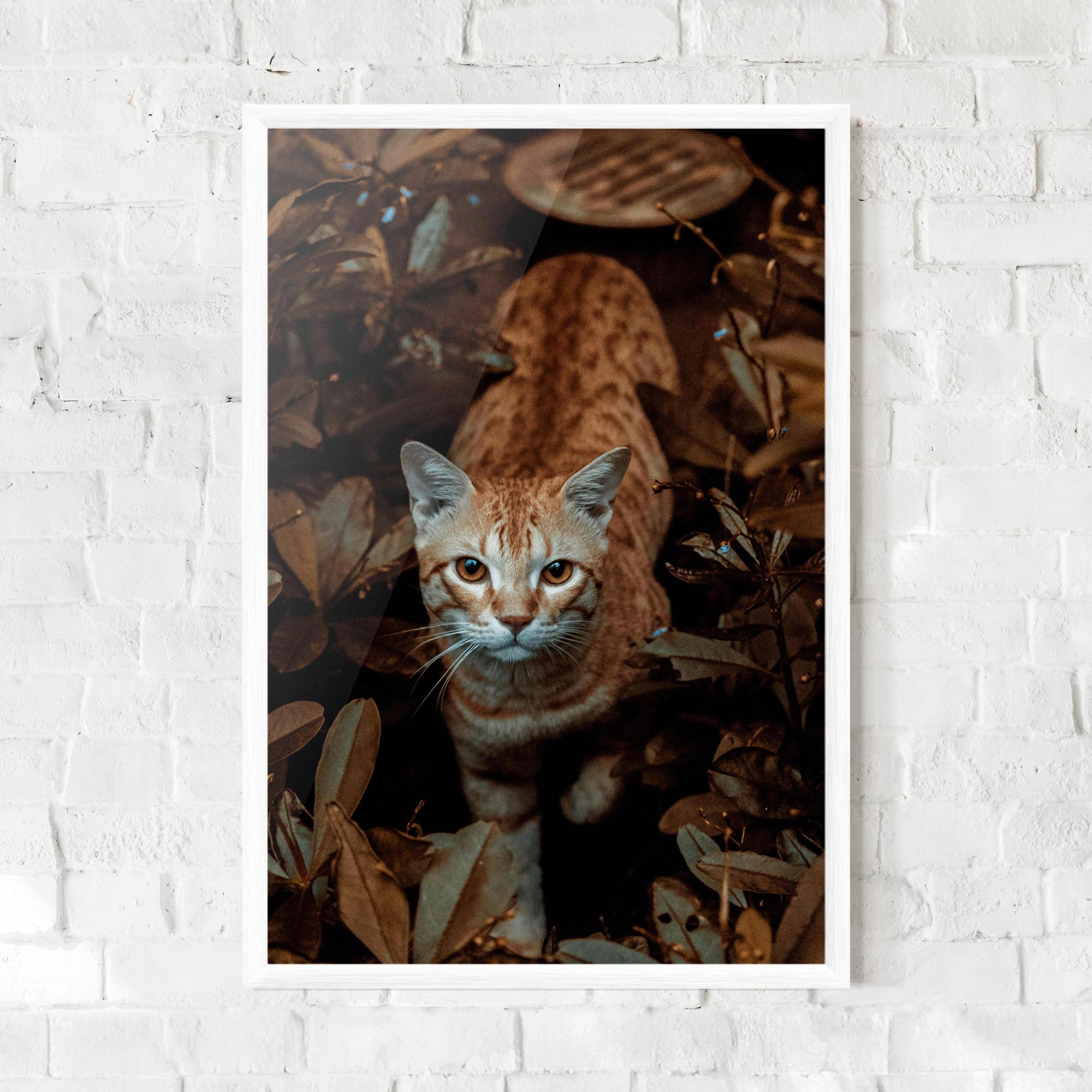 Gerahmte Poster Autumn Orange Cat mockup 0