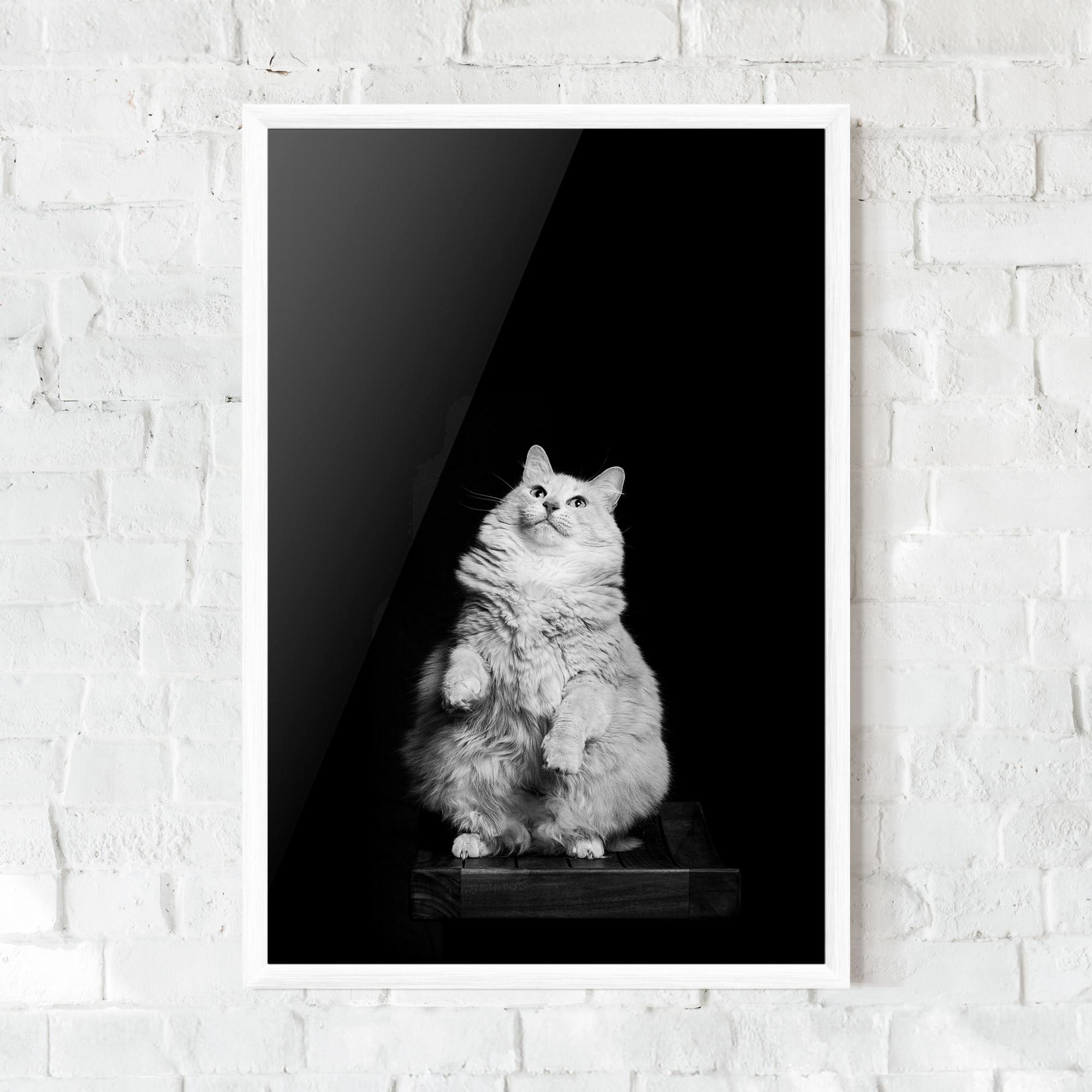 Gerahmte Poster Big Fluffy Cat mockup 0