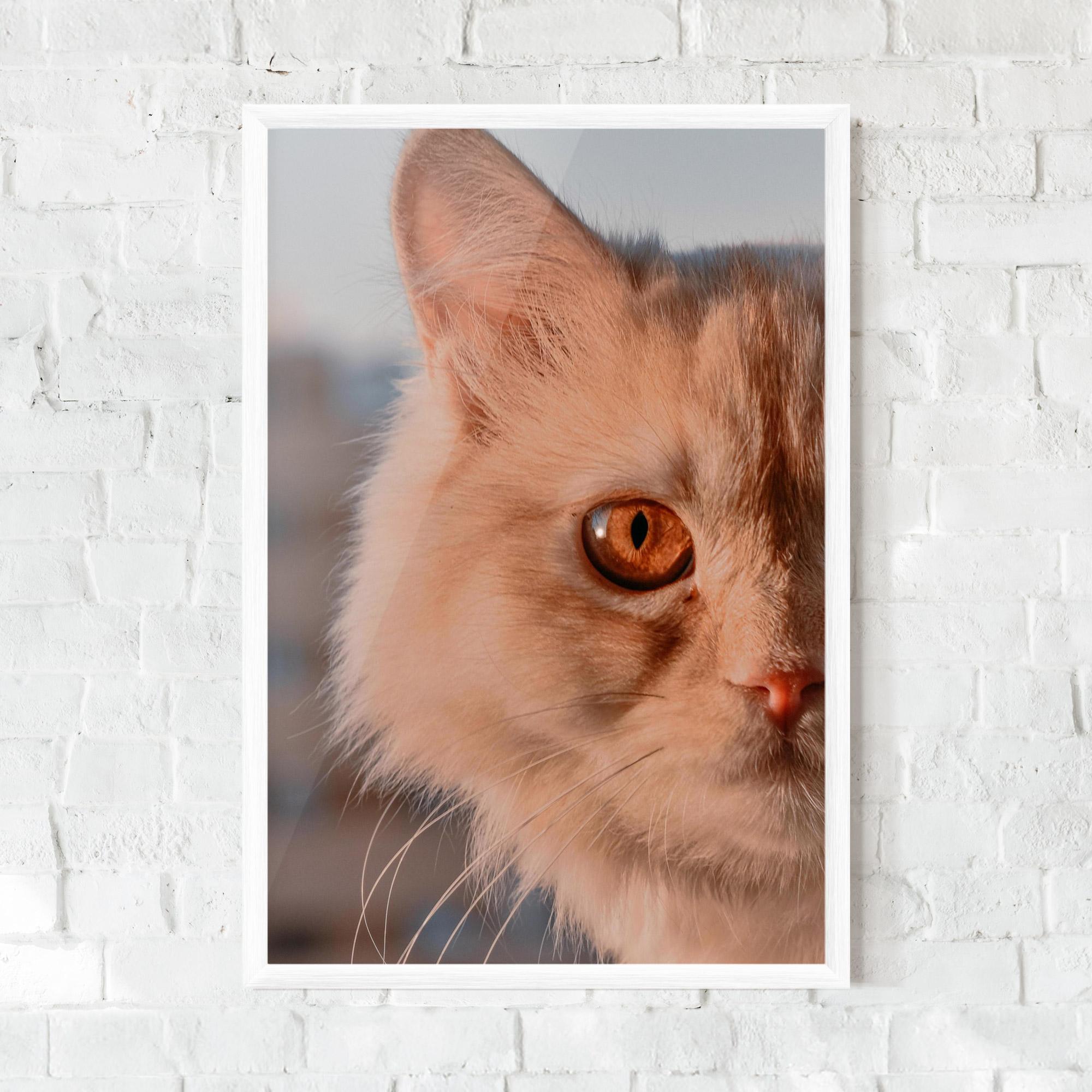 Gerahmte Poster Cat Eye In Sun mockup 0