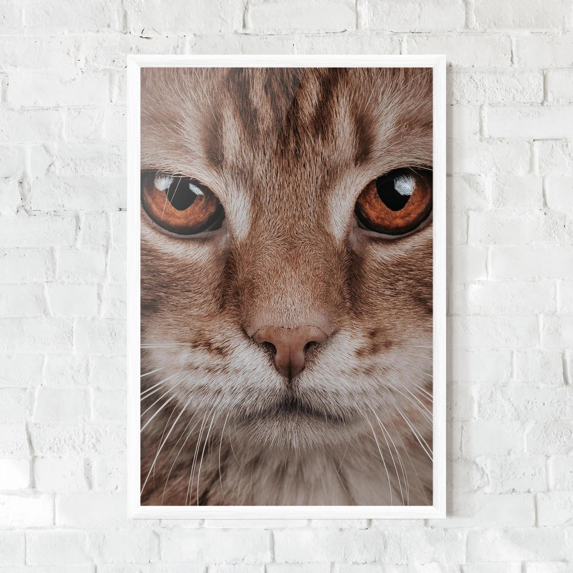 Gerahmte Poster Fire Eyes Cat mockup 0