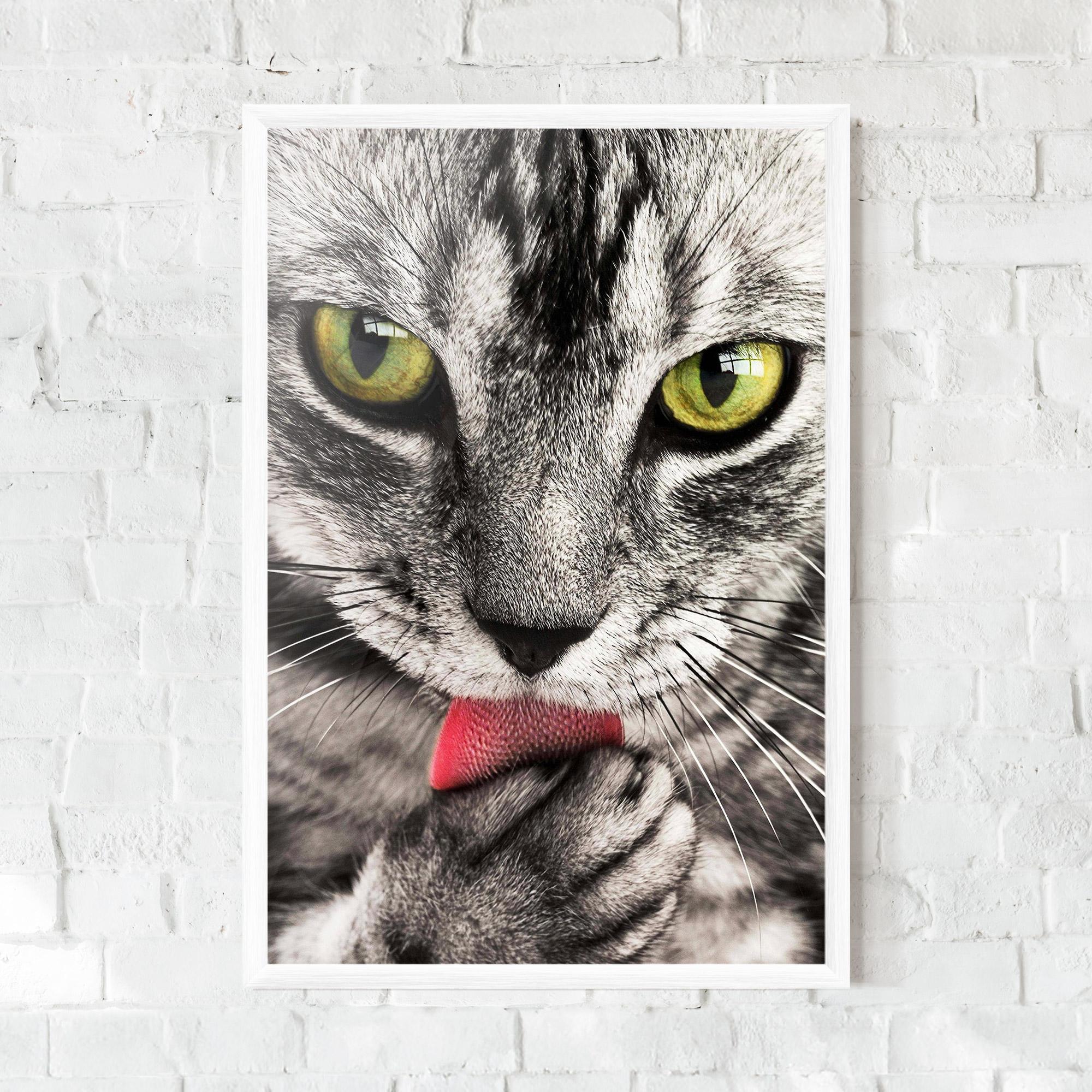 Gerahmte Poster Green Eyes Close Up Cat mockup 0
