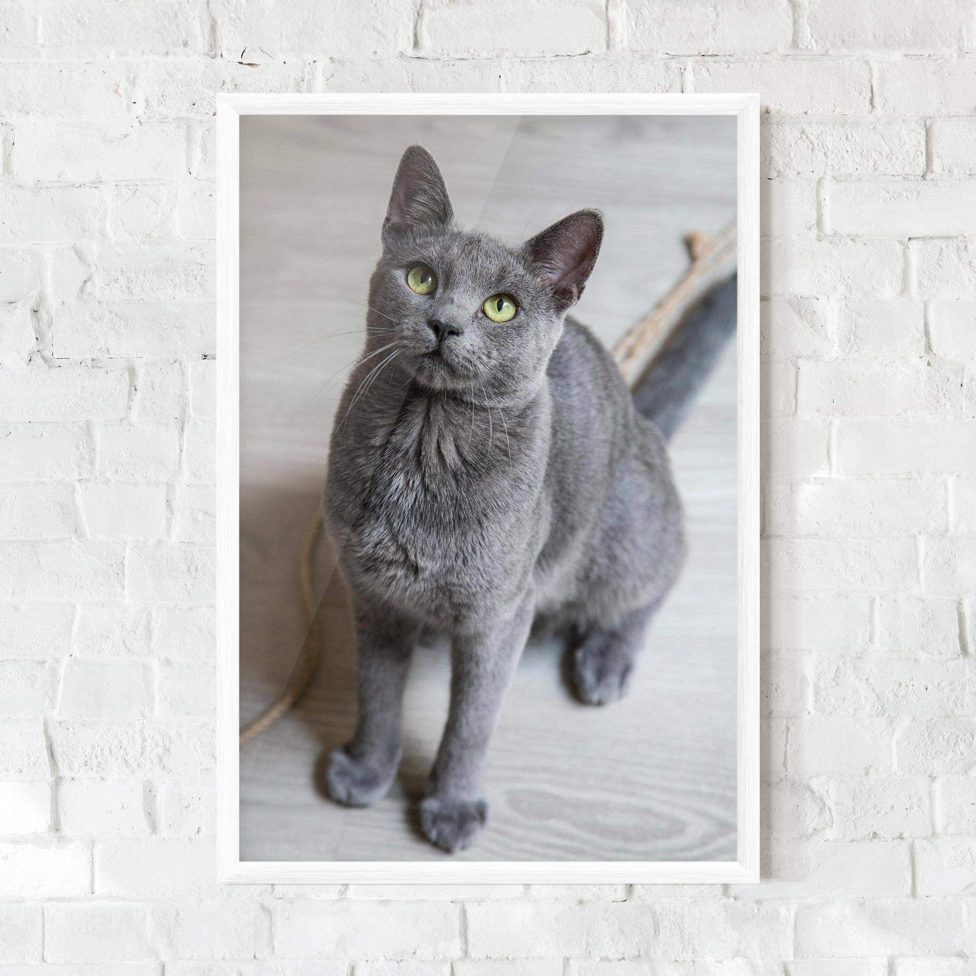 Gerahmte Poster Grey Green Cat Eyes mockup 0
