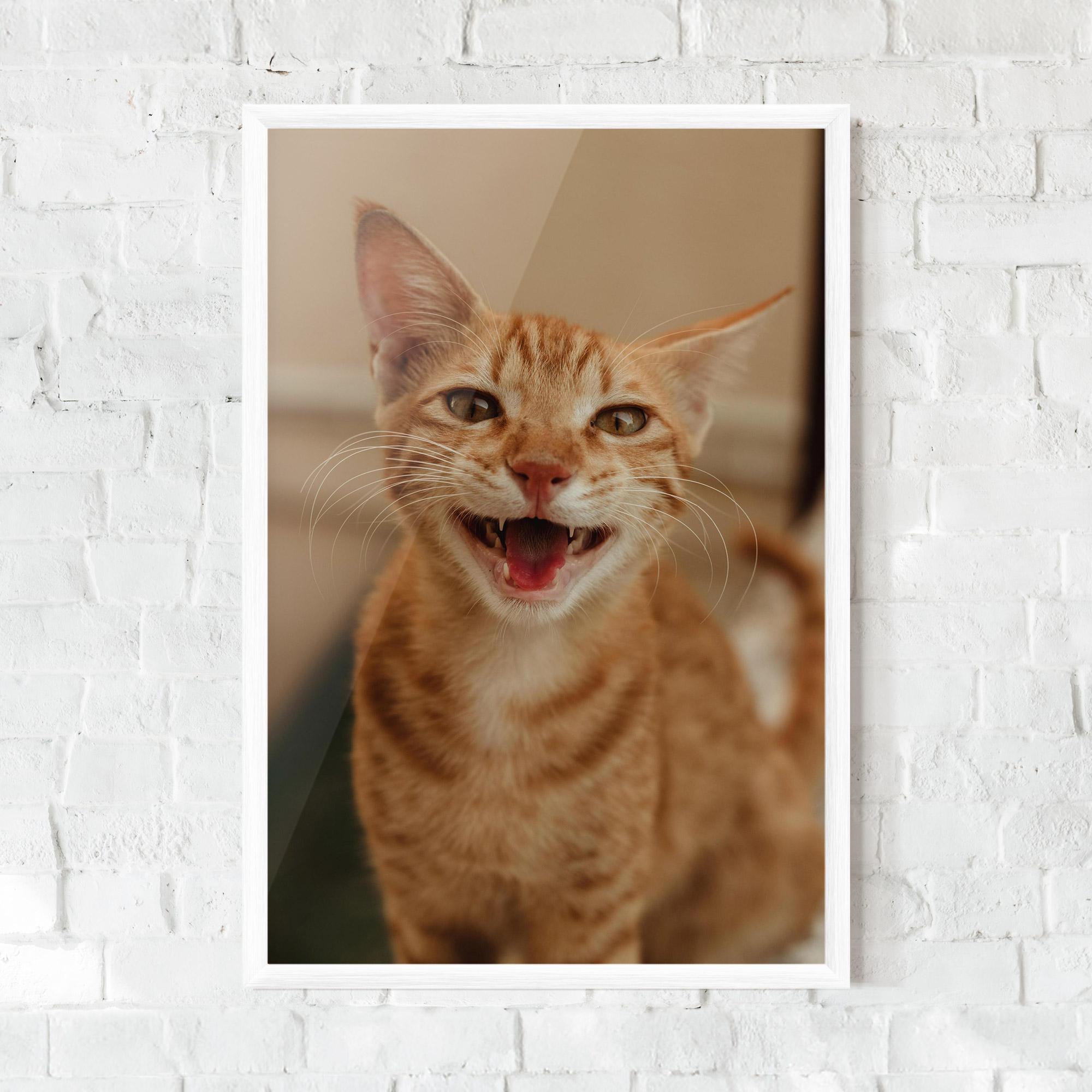 Gerahmte Poster Orange Cat Smiling mockup 0