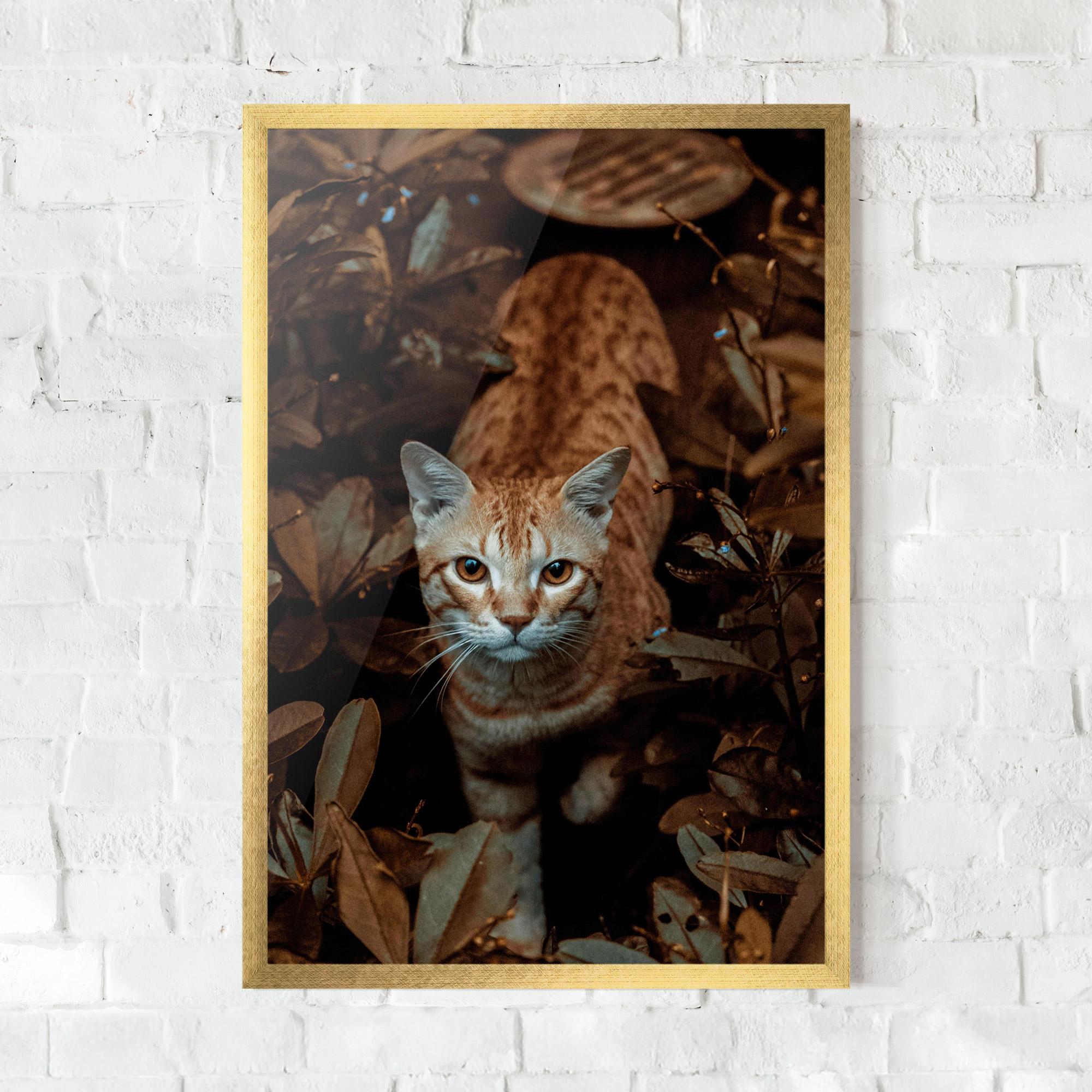 Gerahmte Poster Autumn Orange Cat mockup 0