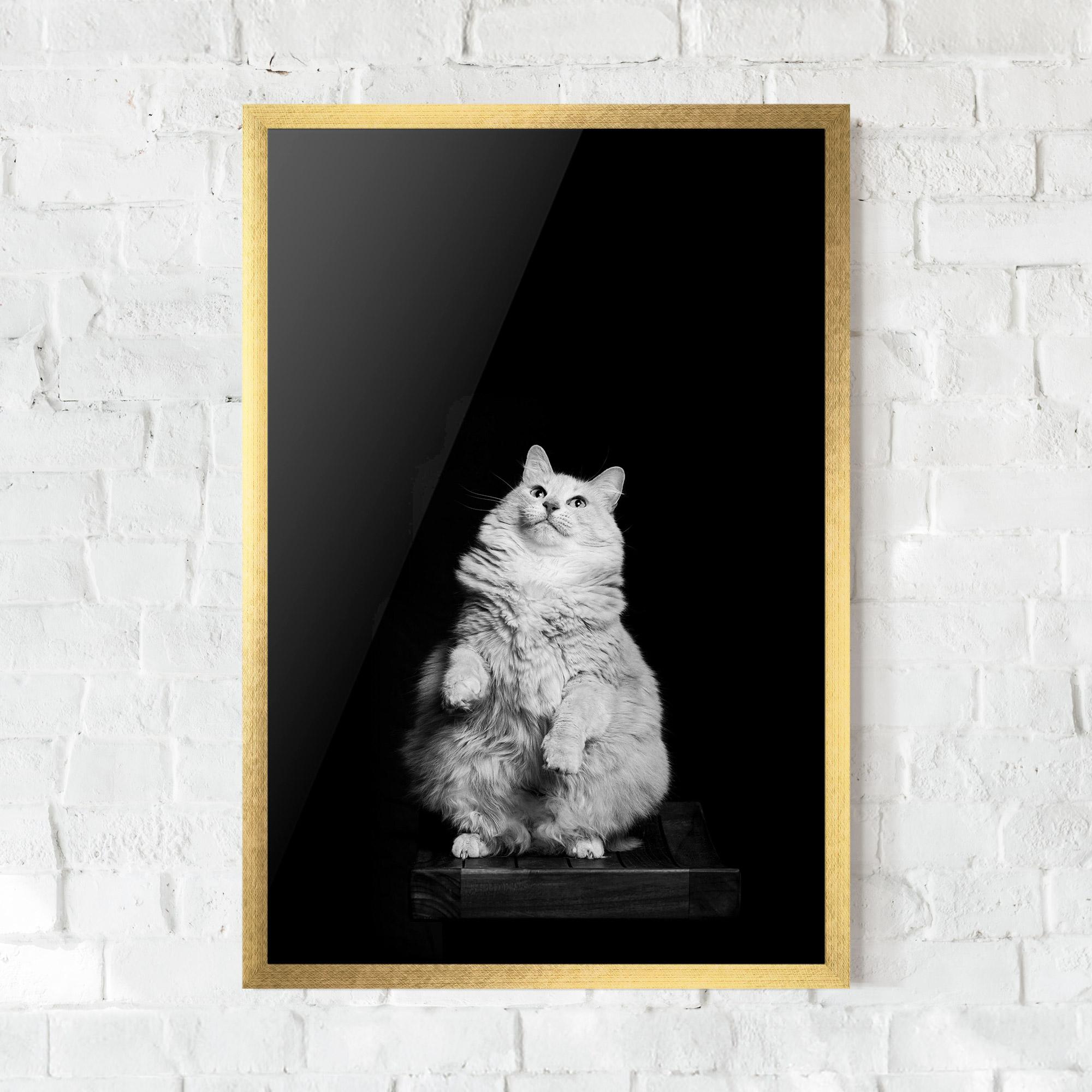Gerahmte Poster Big Fluffy Cat mockup 0
