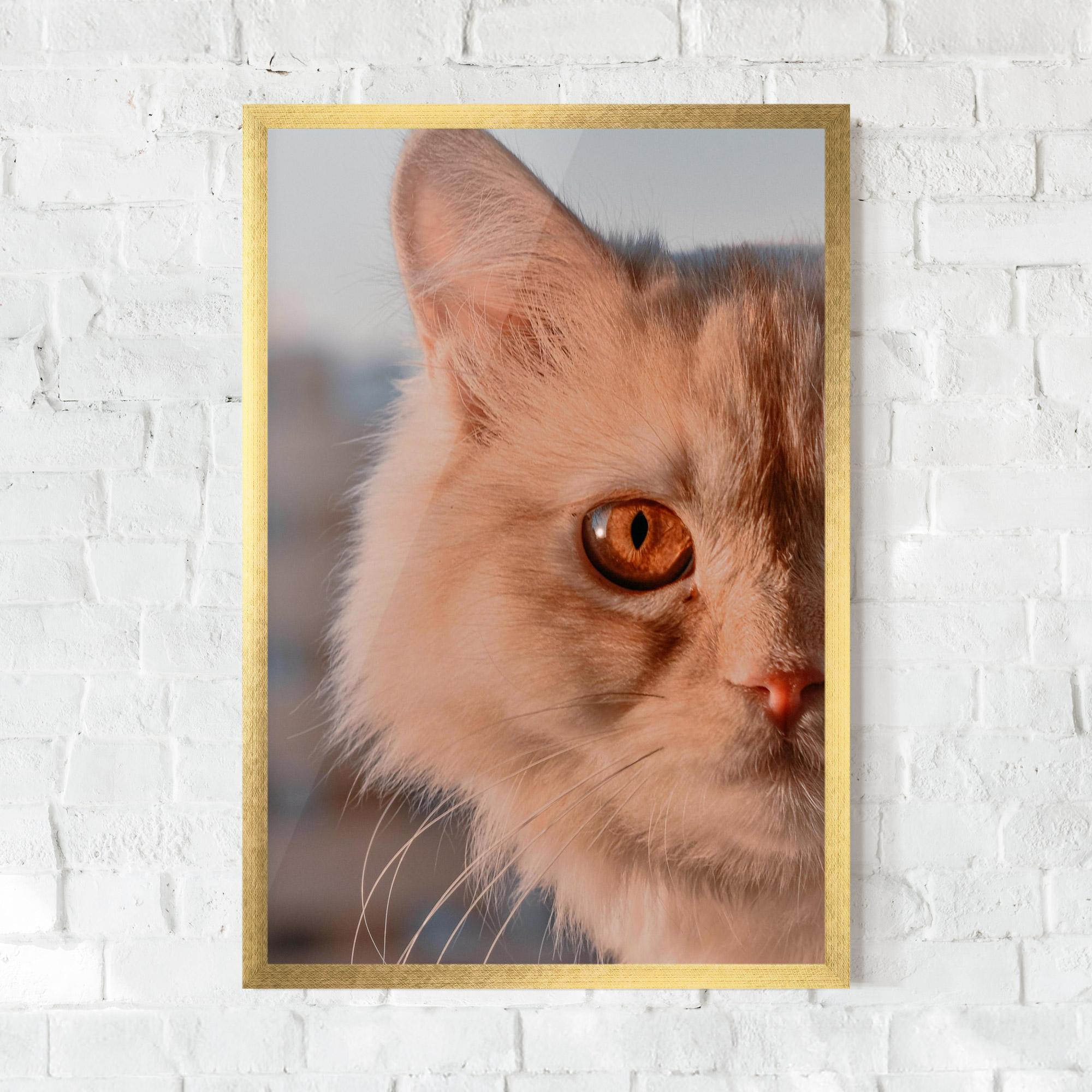 Gerahmte Poster Cat Eye In Sun mockup 0