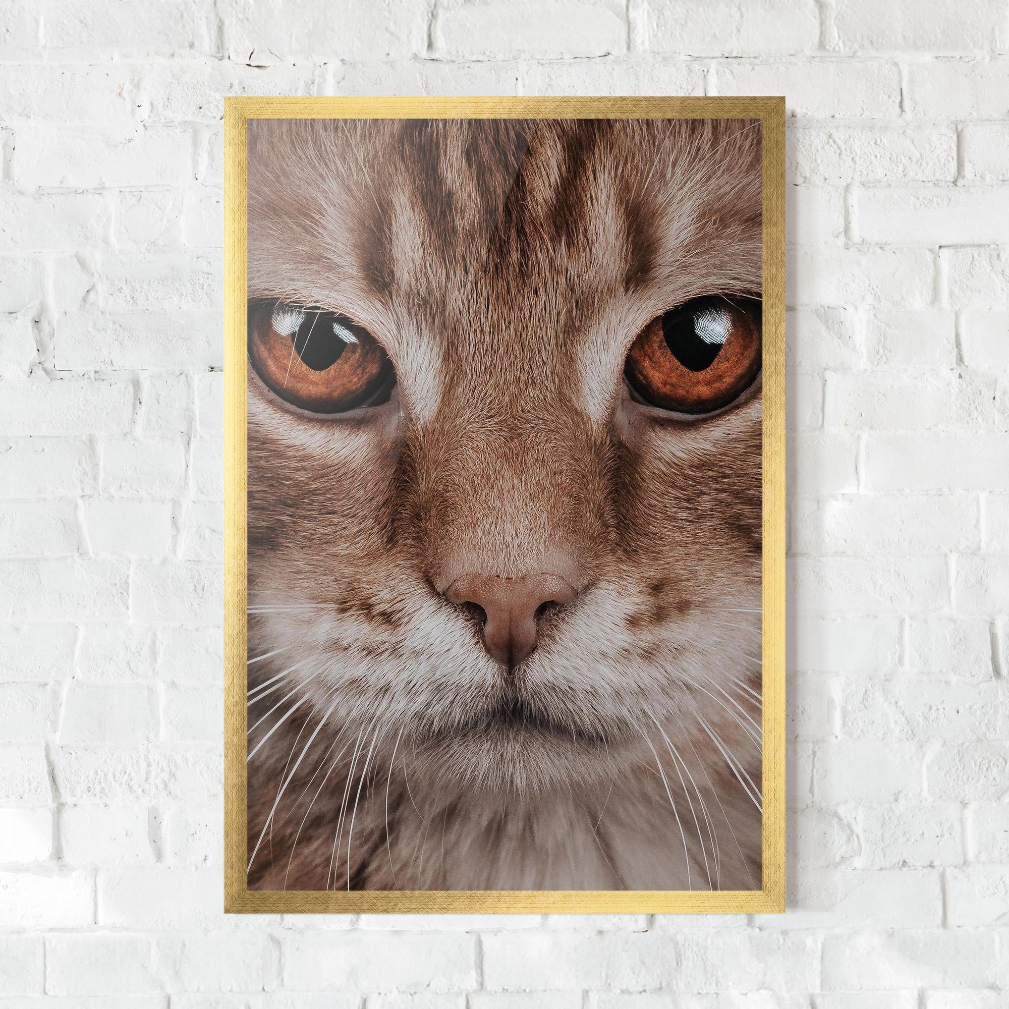 Gerahmte Poster Fire Eyes Cat mockup 0