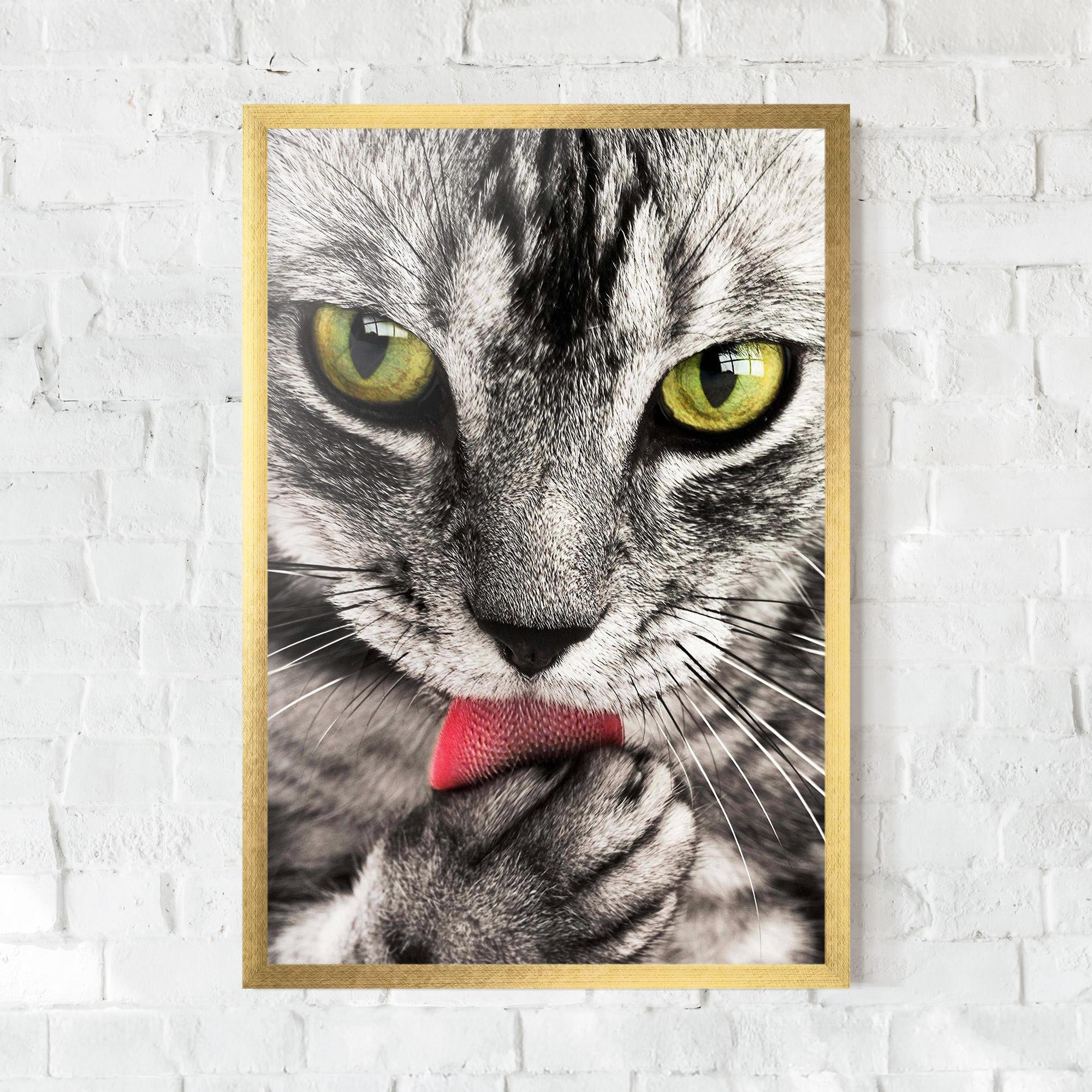 Gerahmte Poster Green Eyes Close Up Cat mockup 0