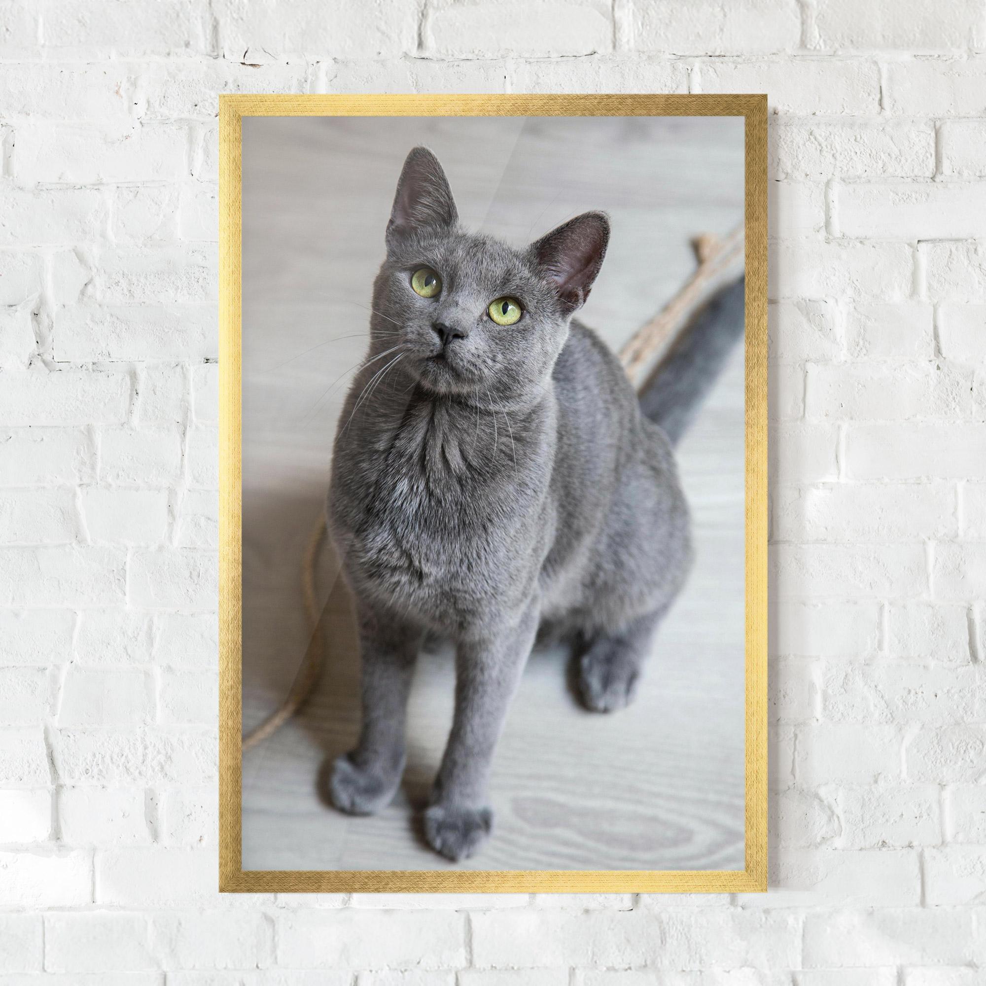 Gerahmte Poster Grey Green Cat Eyes mockup 0