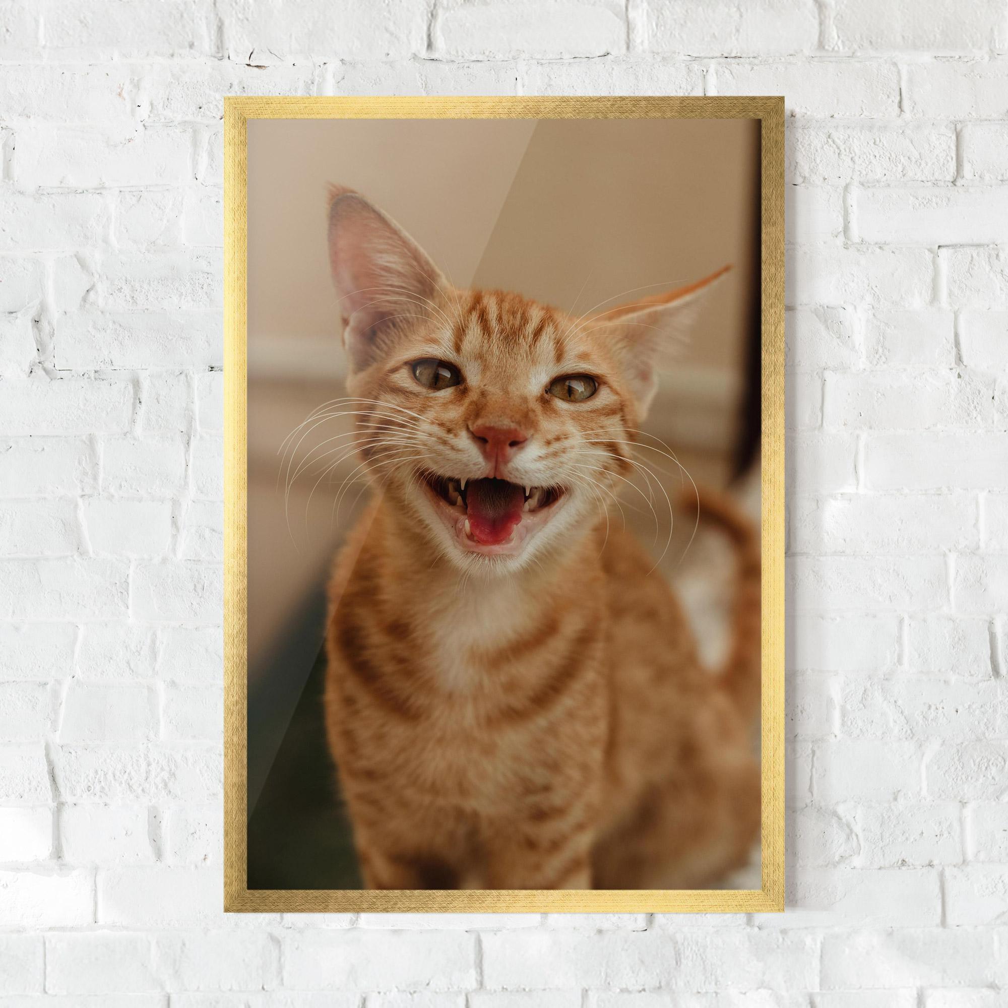 Gerahmte Poster Orange Cat Smiling mockup 0