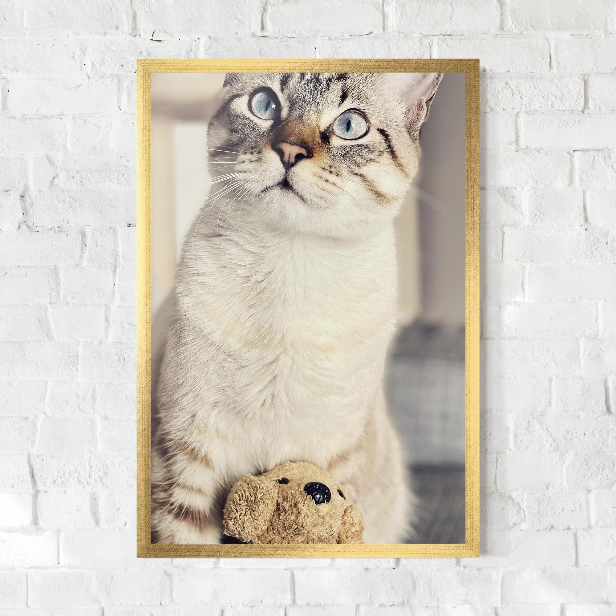 Gerahmte Poster Pretty Blue Eyes Cat mockup 0
