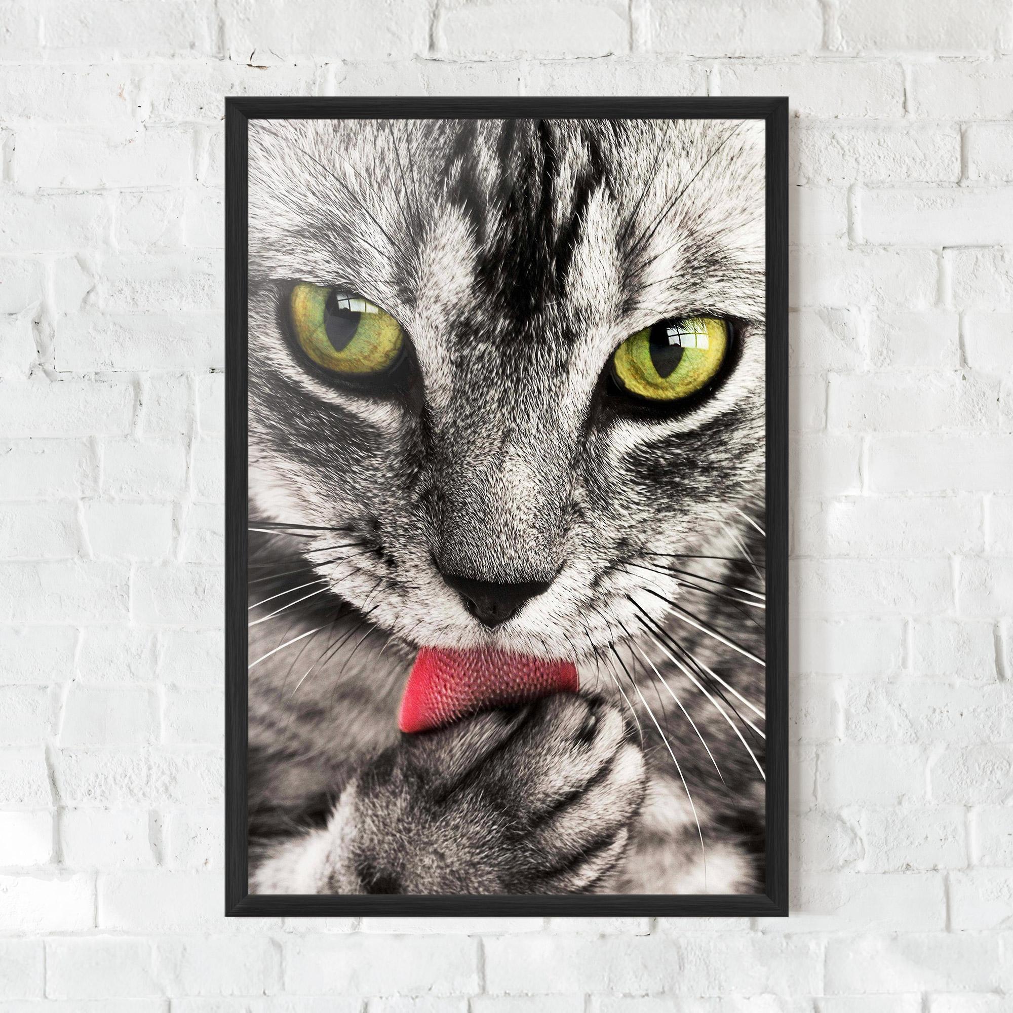 Gerahmte Poster Green Eyes Close Up Cat mockup 0