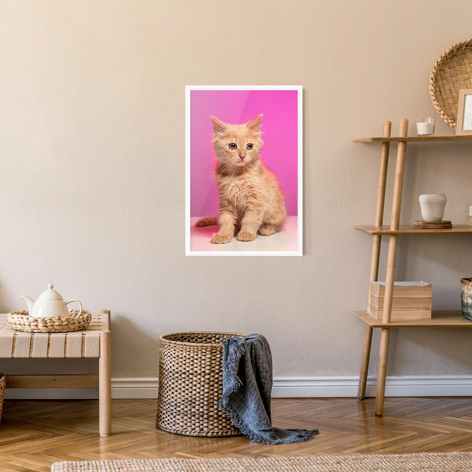 Gerahmte Poster Orange Cat On Pink mockup 9