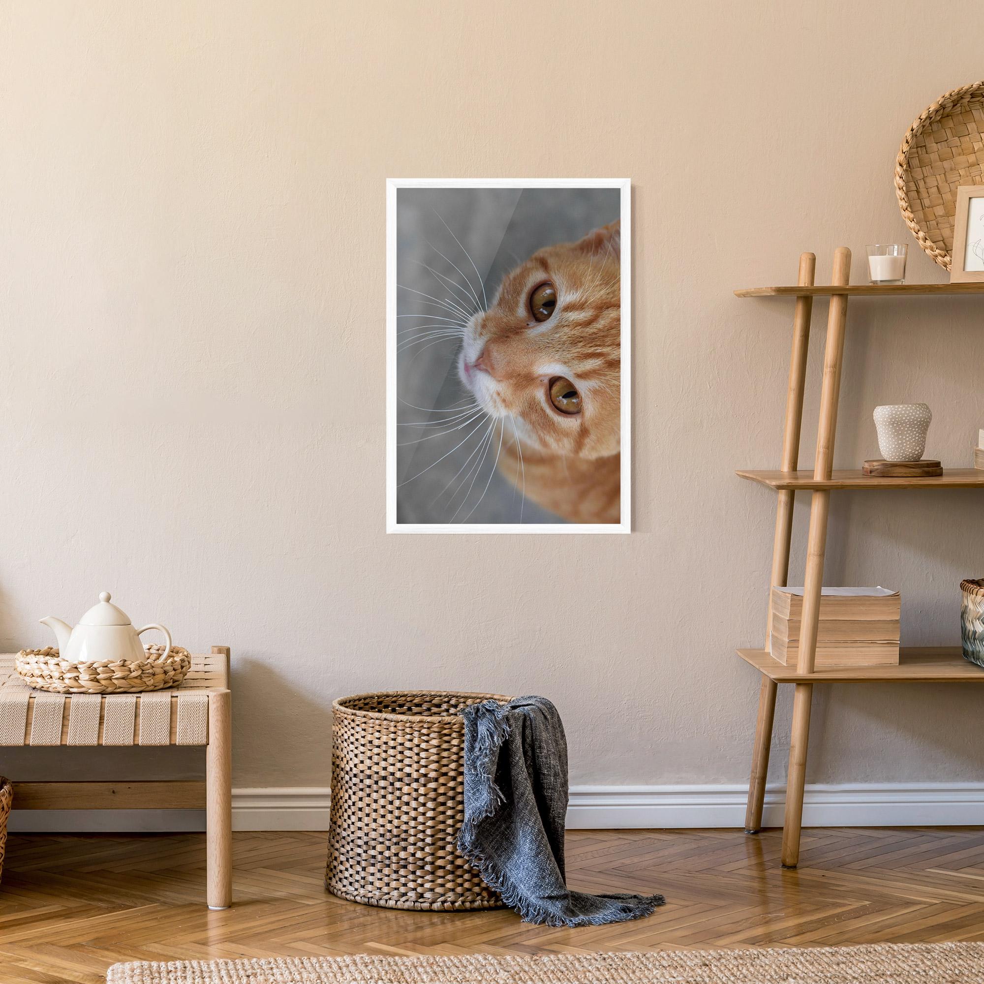 Gerahmte Poster Pretty Orange Eyes Cat mockup 9