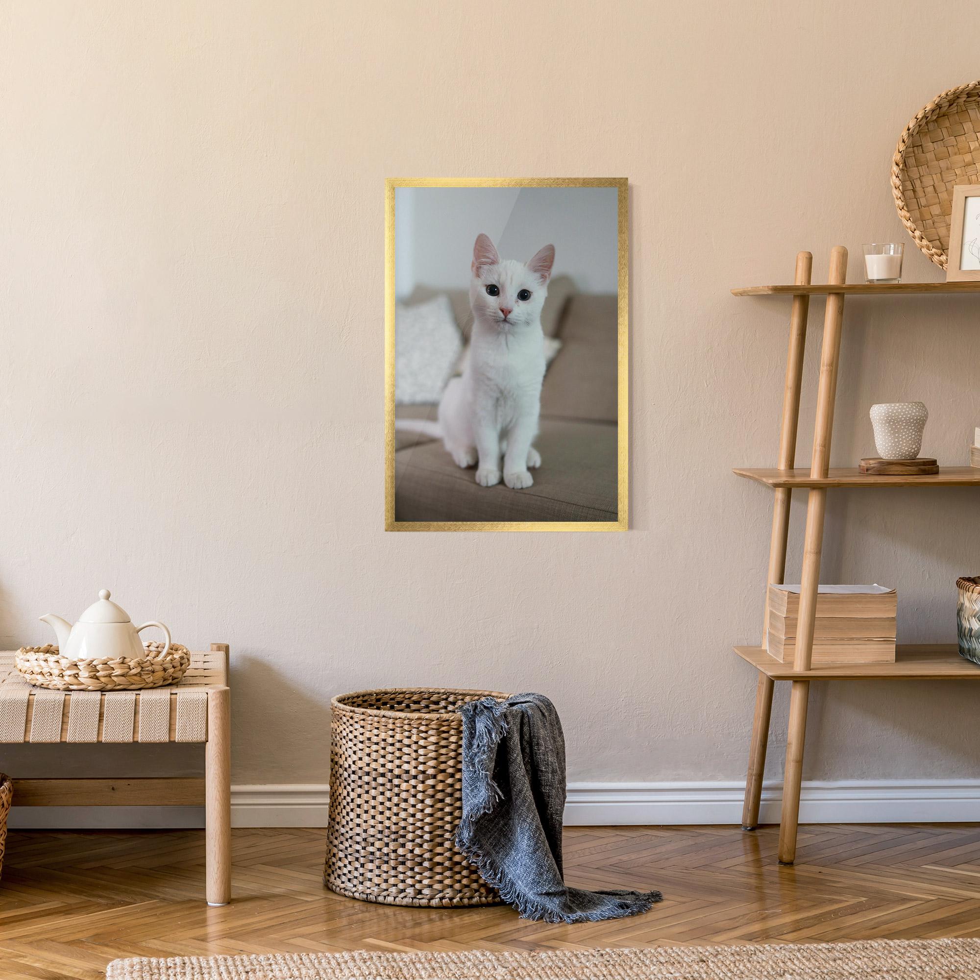 Gerahmte Poster Beautiful White Cat mockup 9