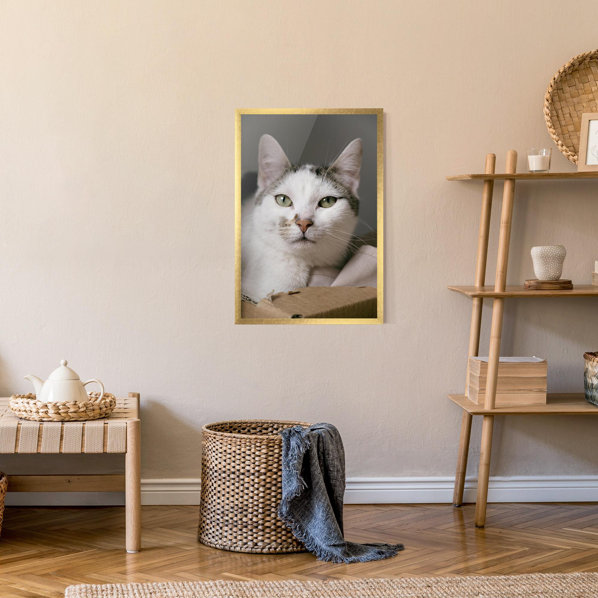 Gerahmte Poster Big Sleepy Cat mockup 9