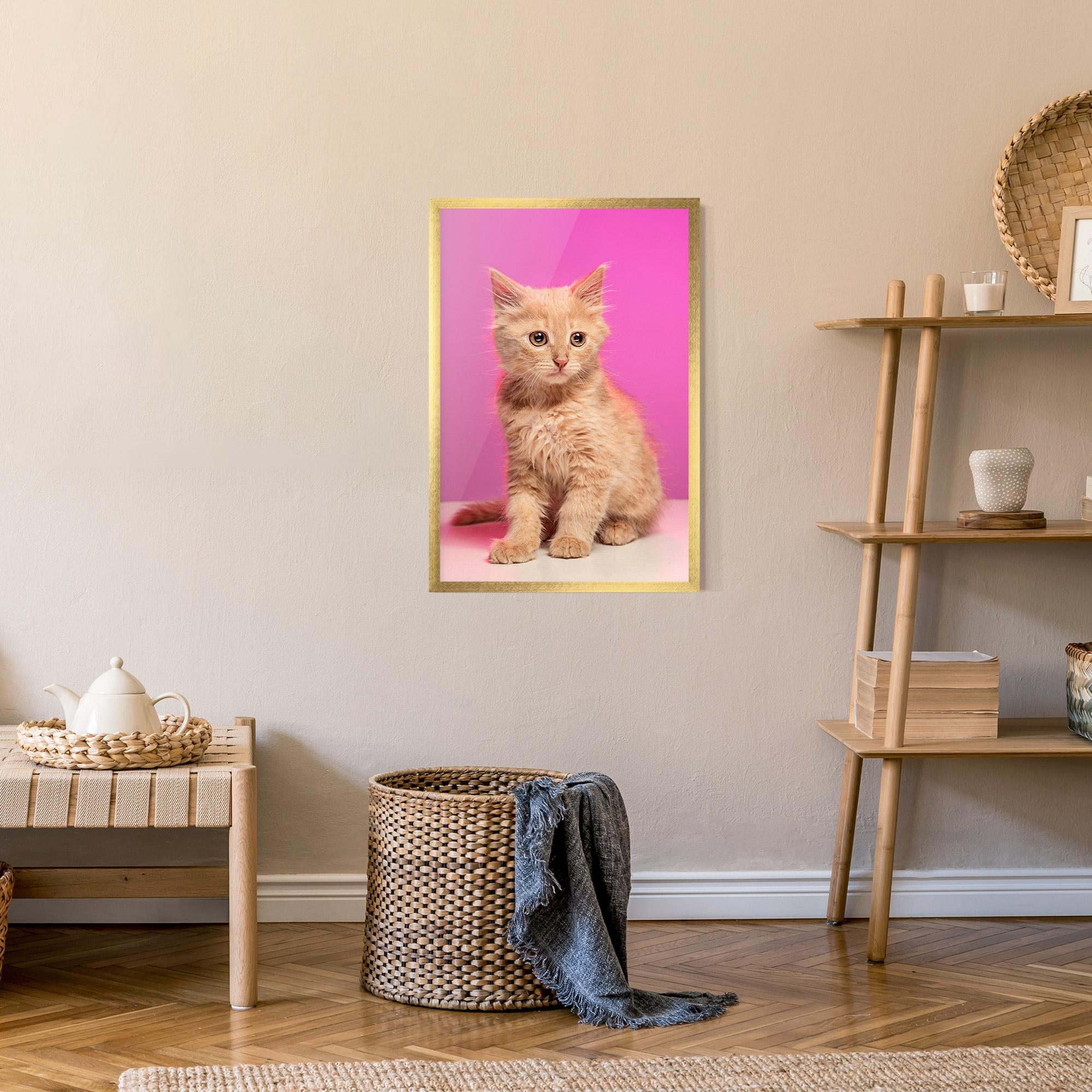 Gerahmte Poster Orange Cat On Pink mockup 9