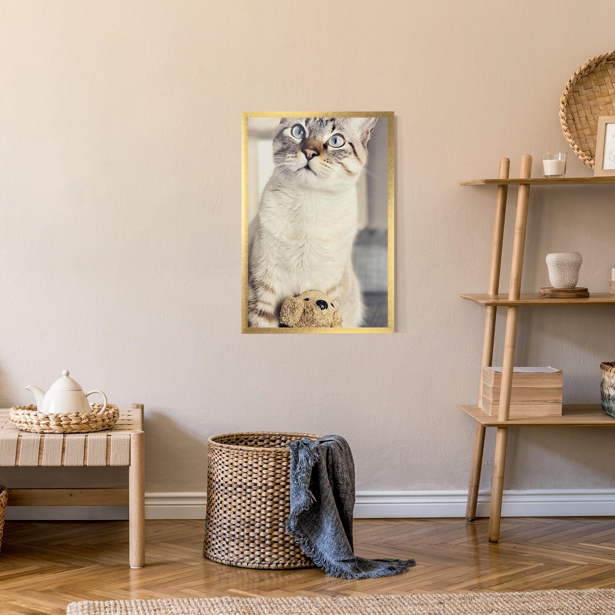 Gerahmte Poster Pretty Blue Eyes Cat mockup 9