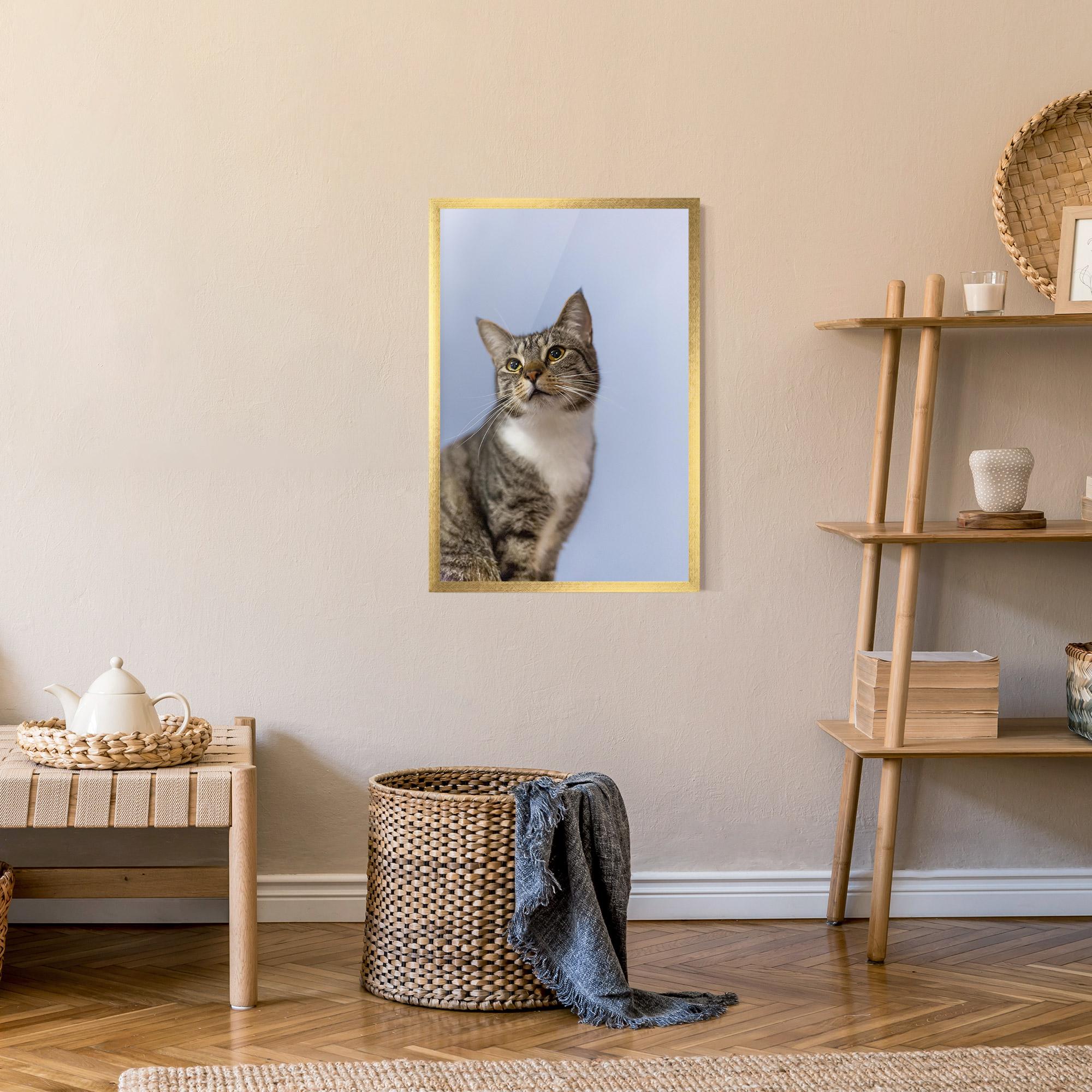 Gerahmte Poster Yellow Eyes Cat mockup 9