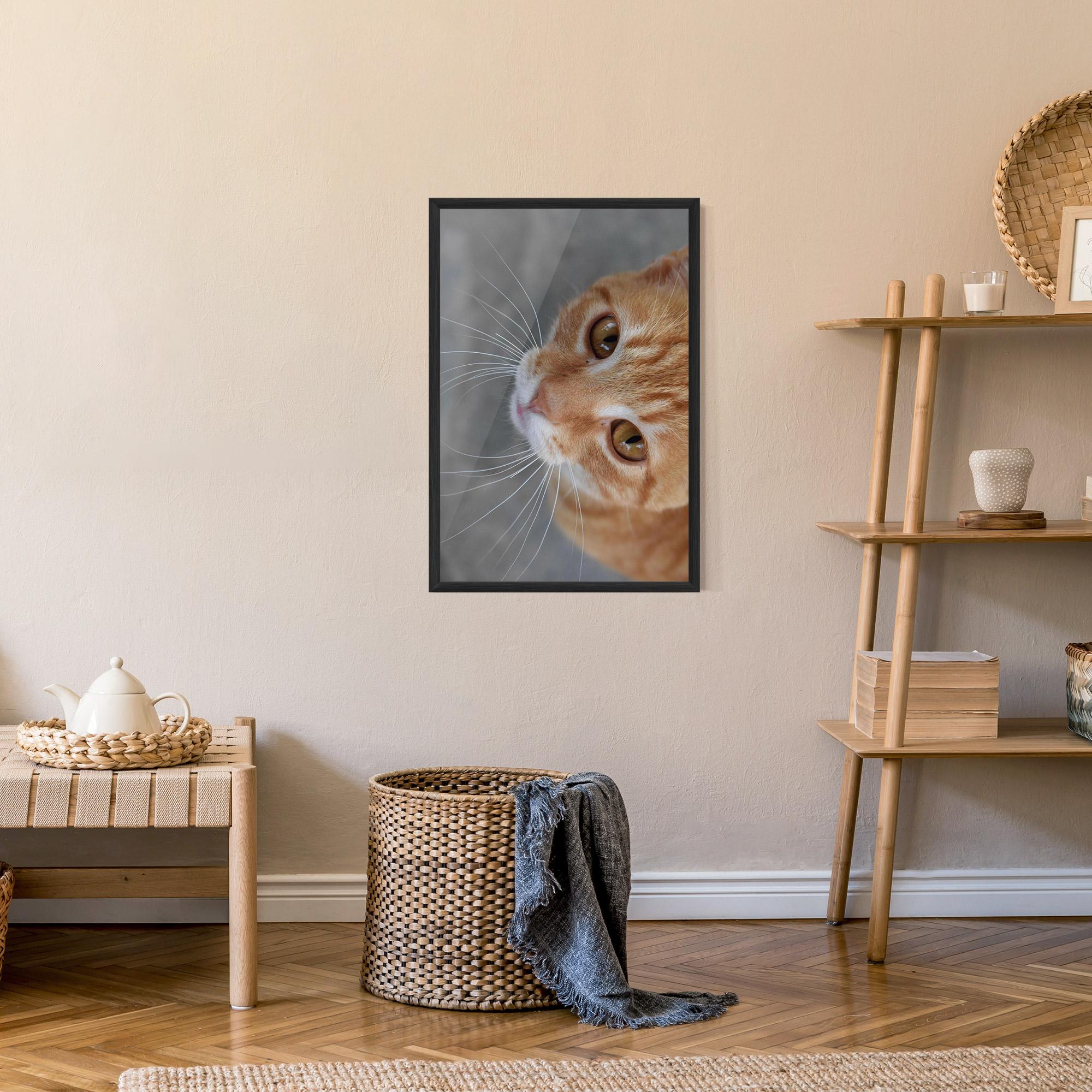 Gerahmte Poster Pretty Orange Eyes Cat mockup 9