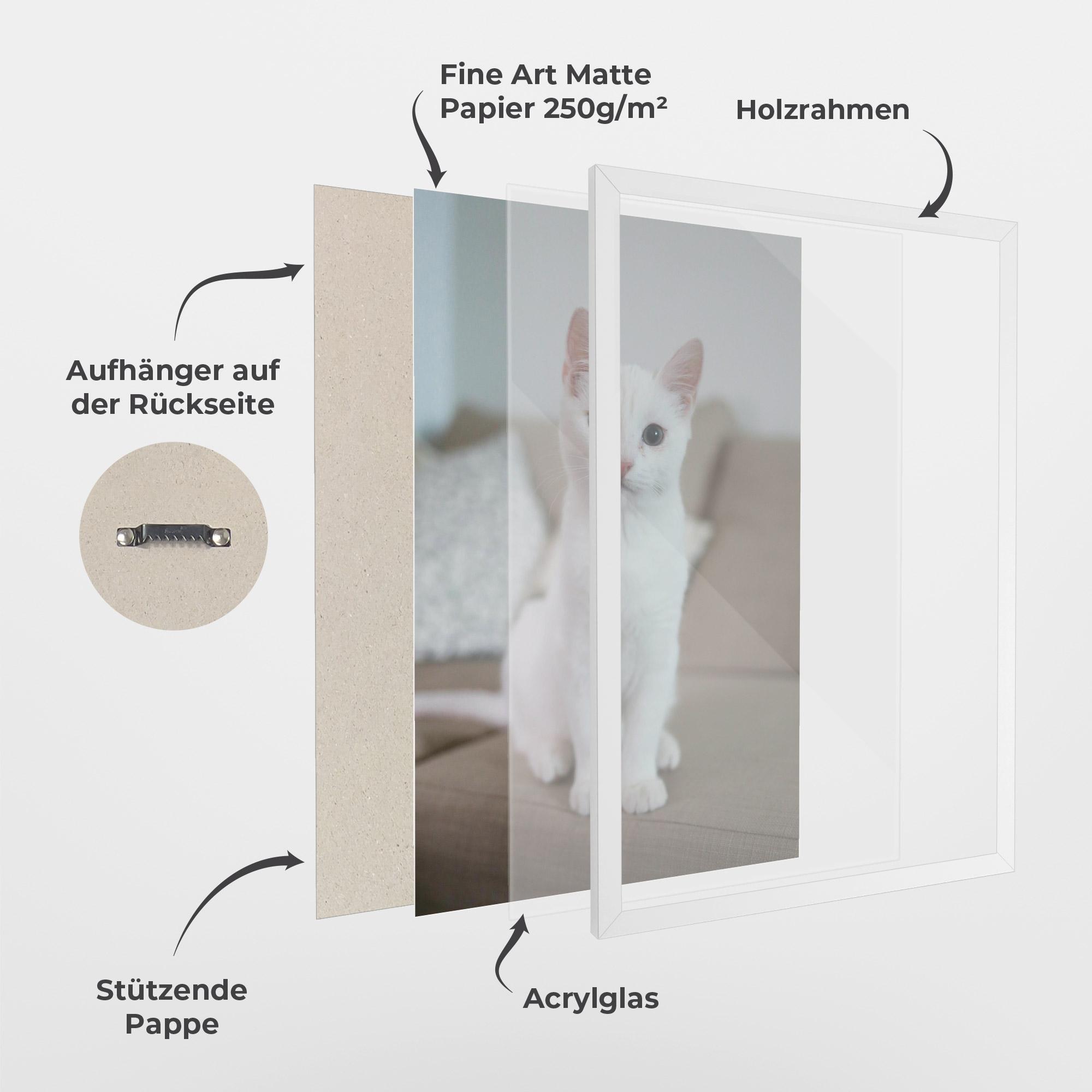 Gerahmte Poster Beautiful White Cat mockup 1