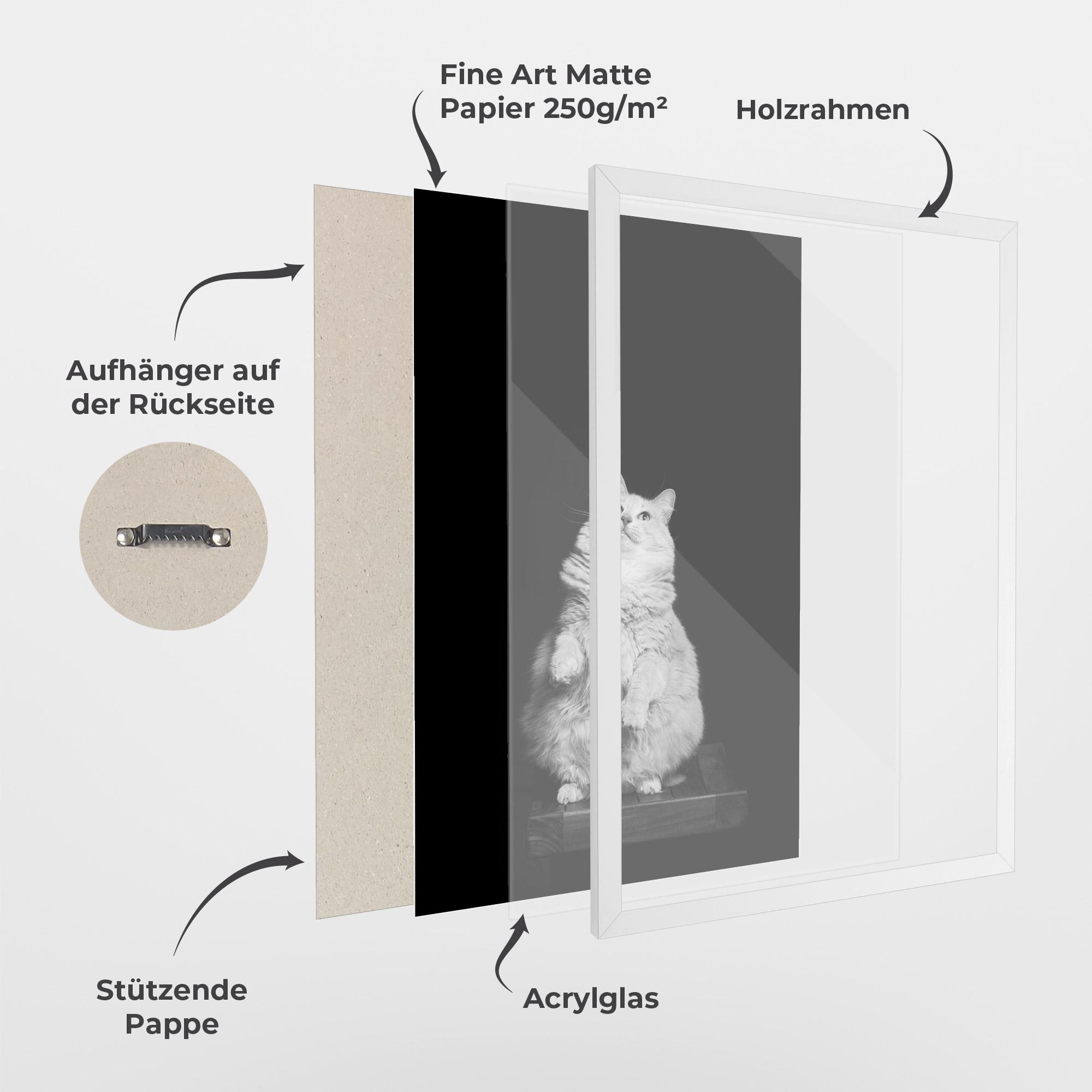 Gerahmte Poster Big Fluffy Cat mockup 1