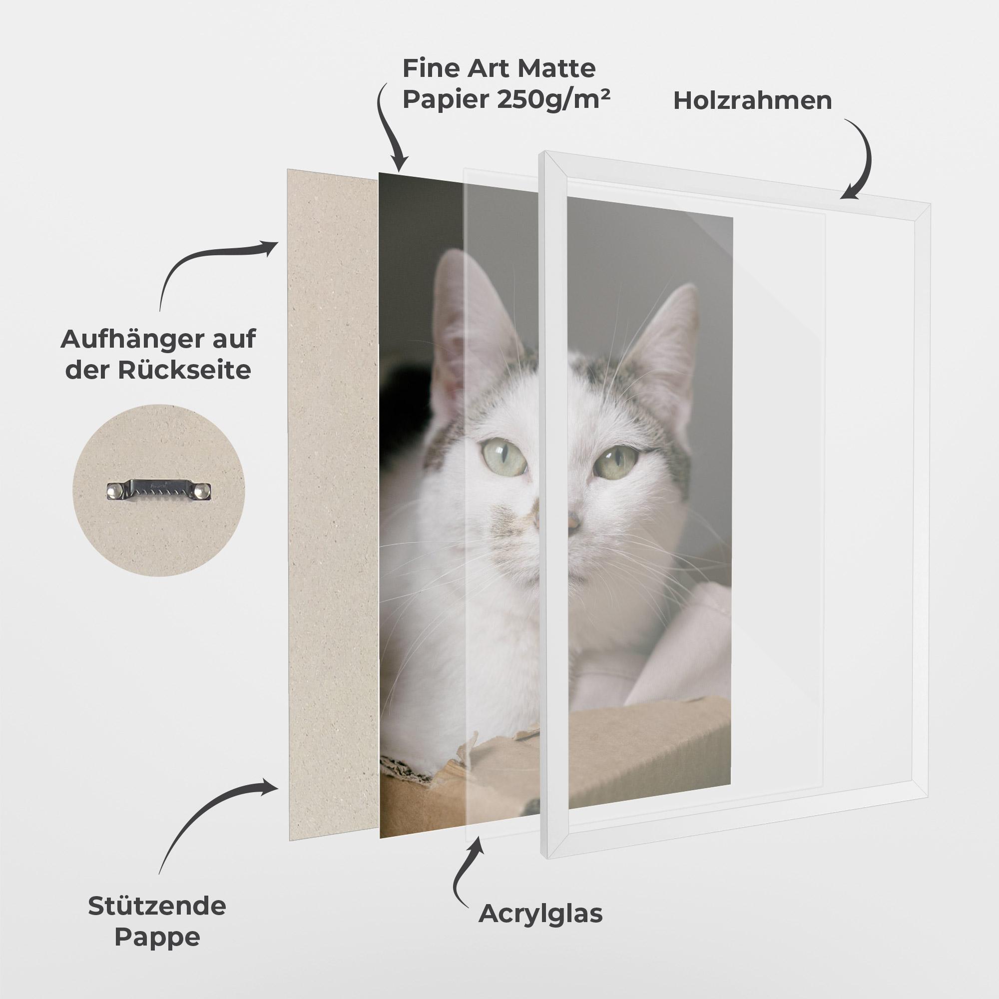 Gerahmte Poster Big Sleepy Cat mockup 1