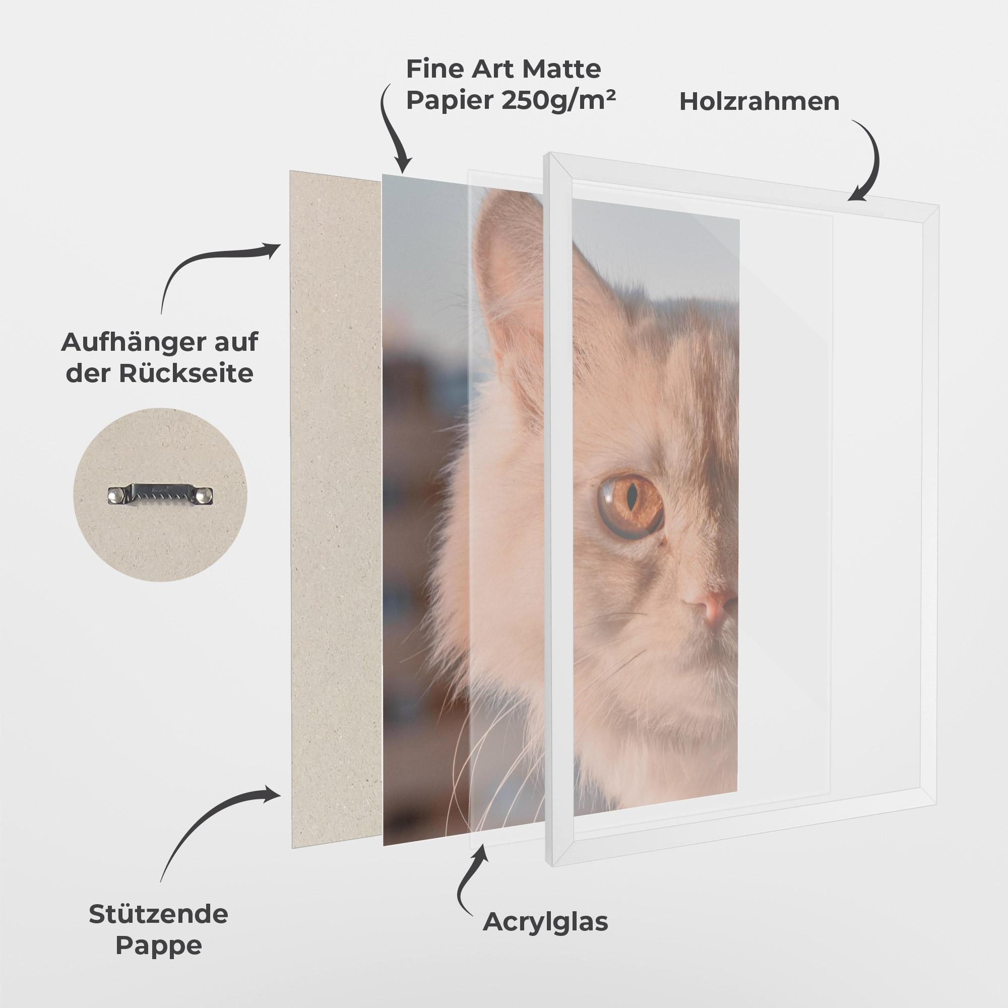 Gerahmte Poster Cat Eye In Sun mockup 1